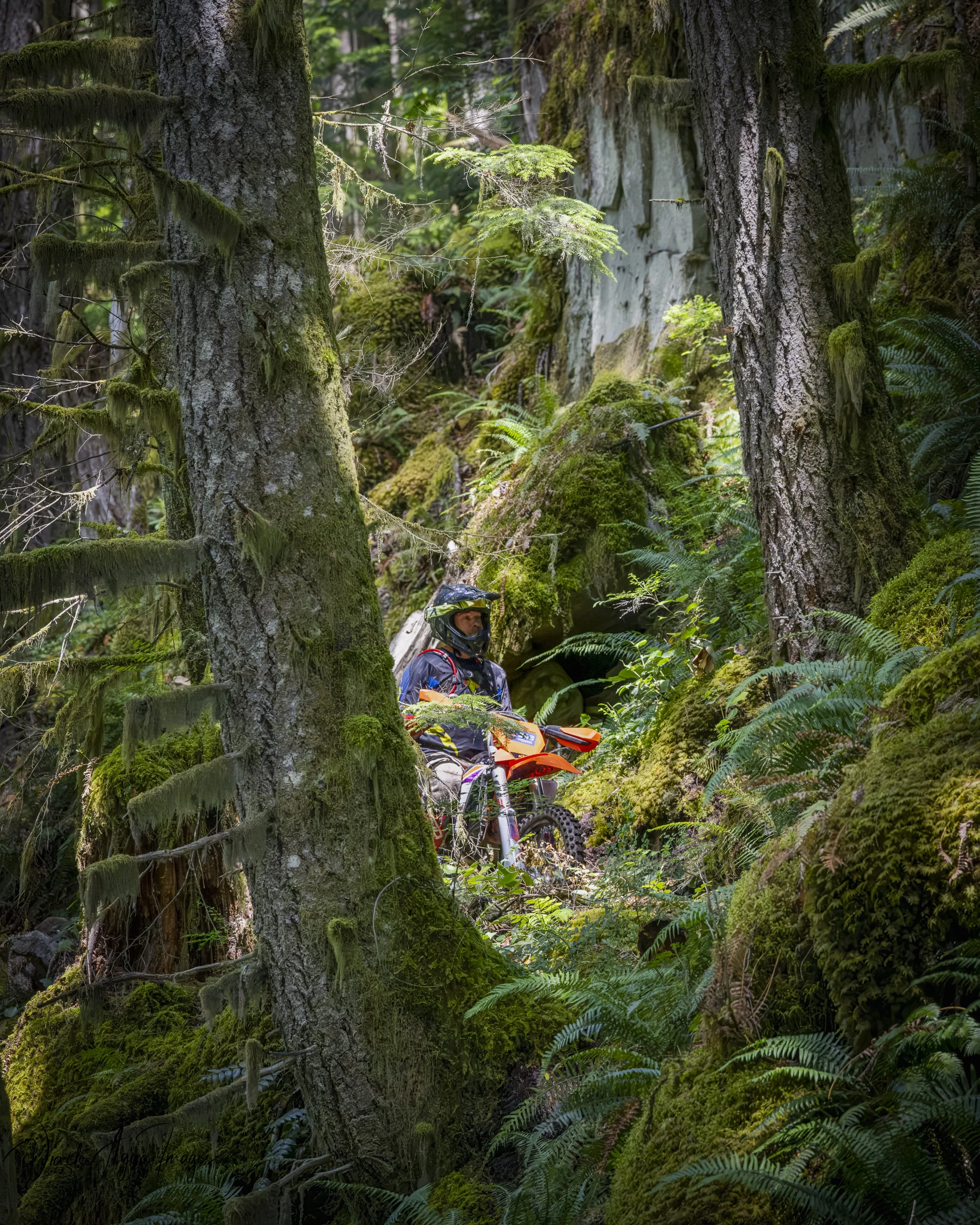 VDA_0109-Edit.JPG