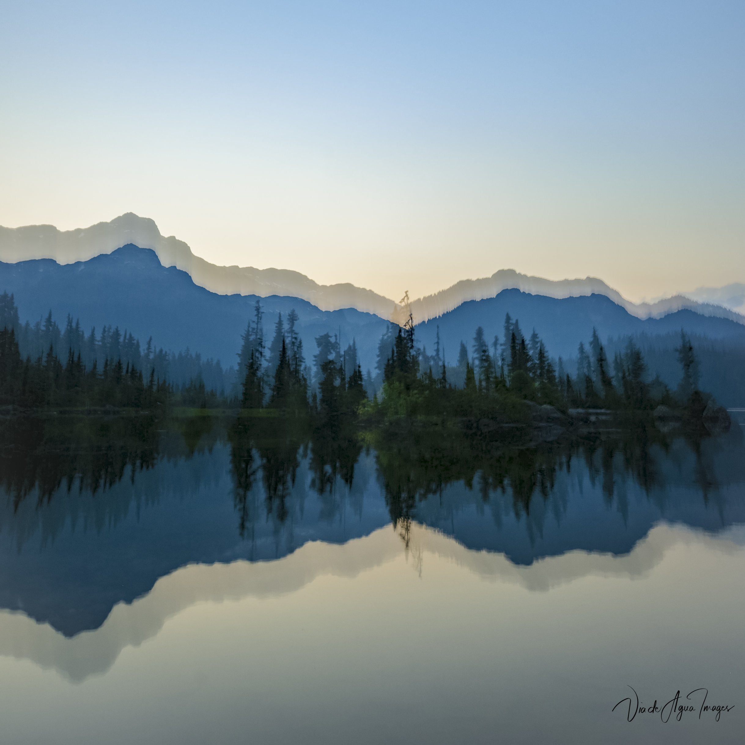 VDA_6310-Edit.JPG