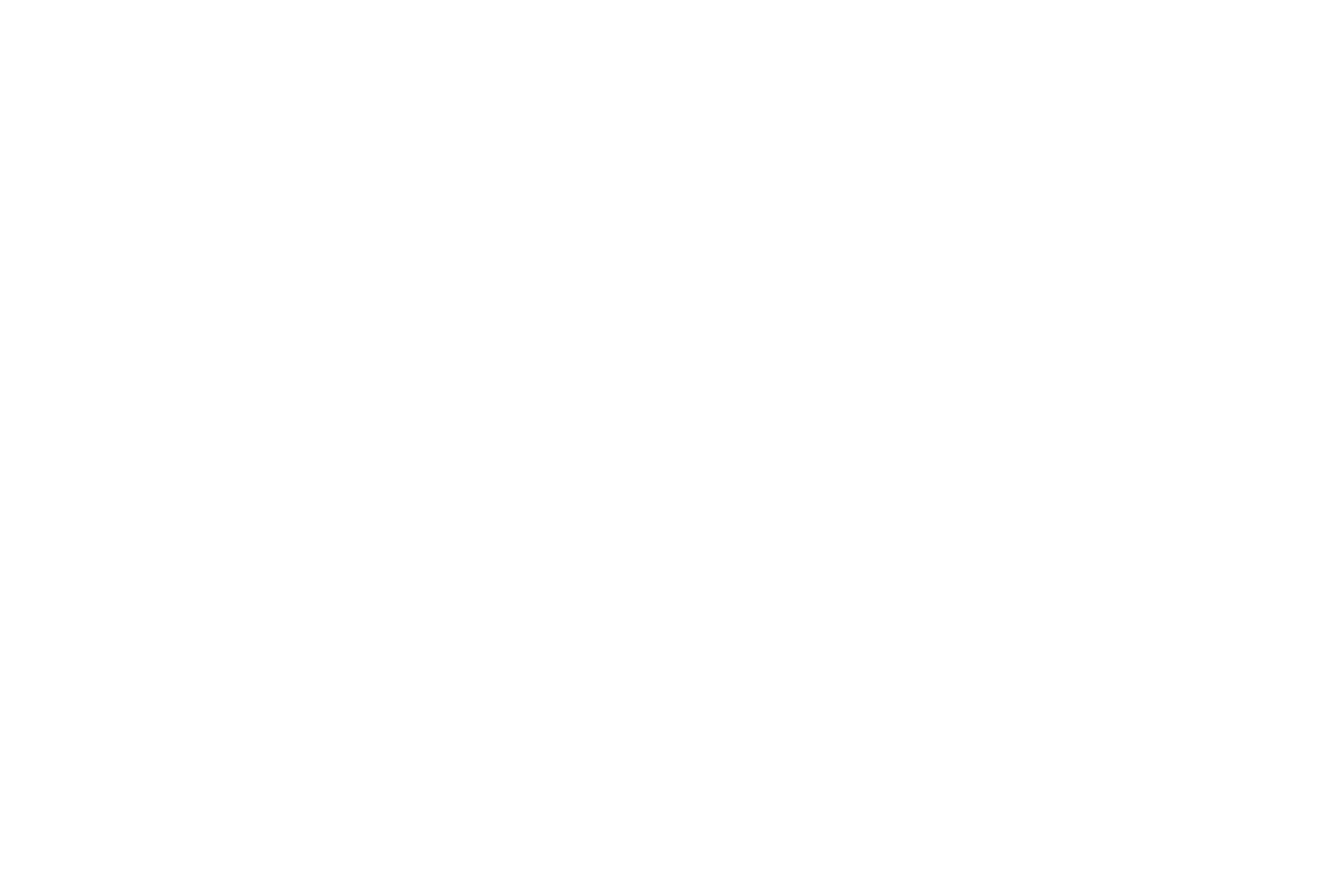 Single Session