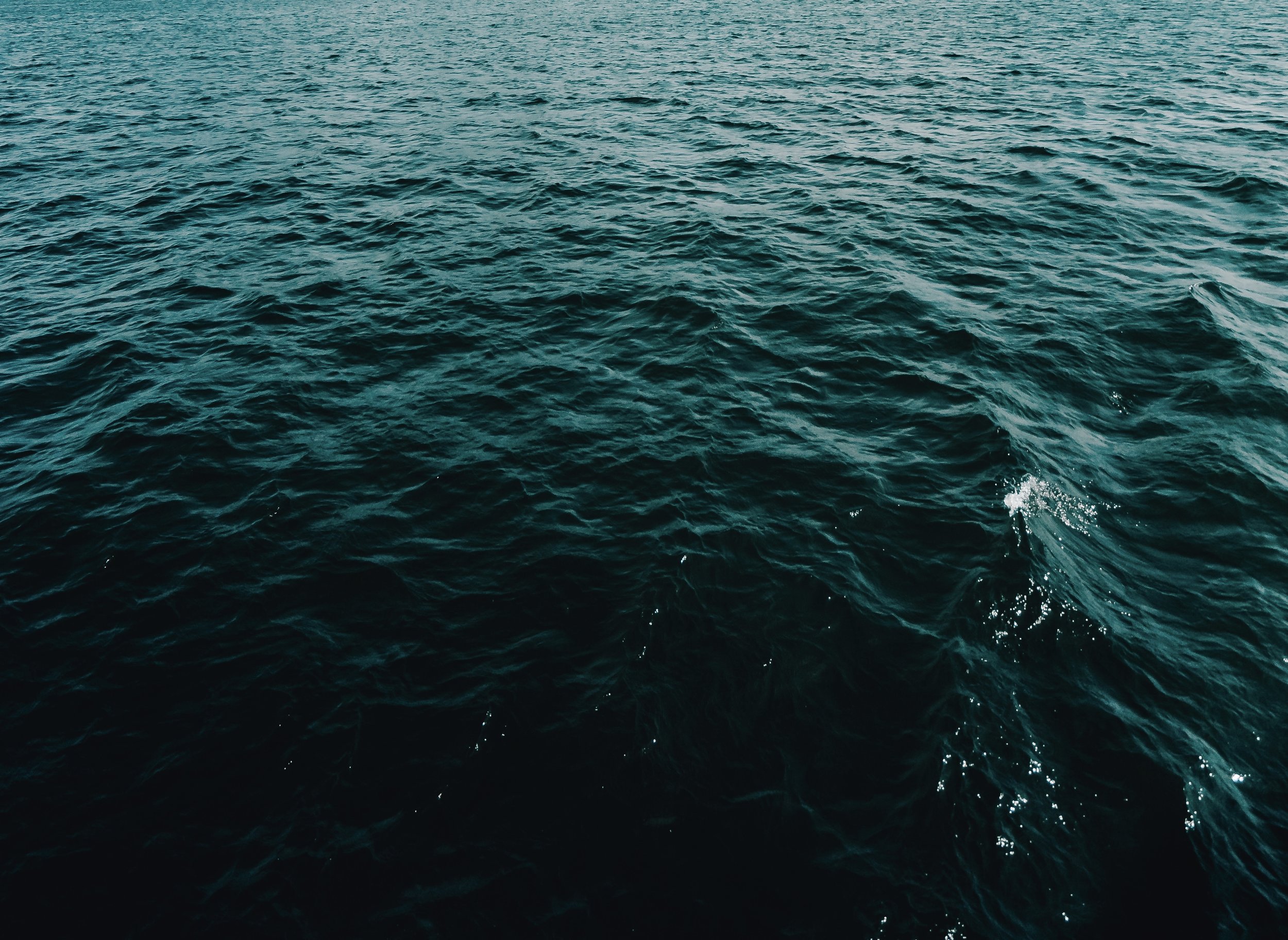 scott-webb-501260-unsplash copy.jpg