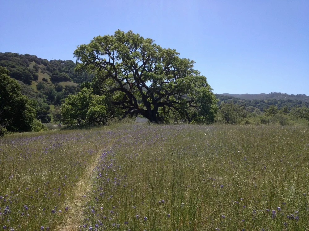 IMG_4036 resized.jpg