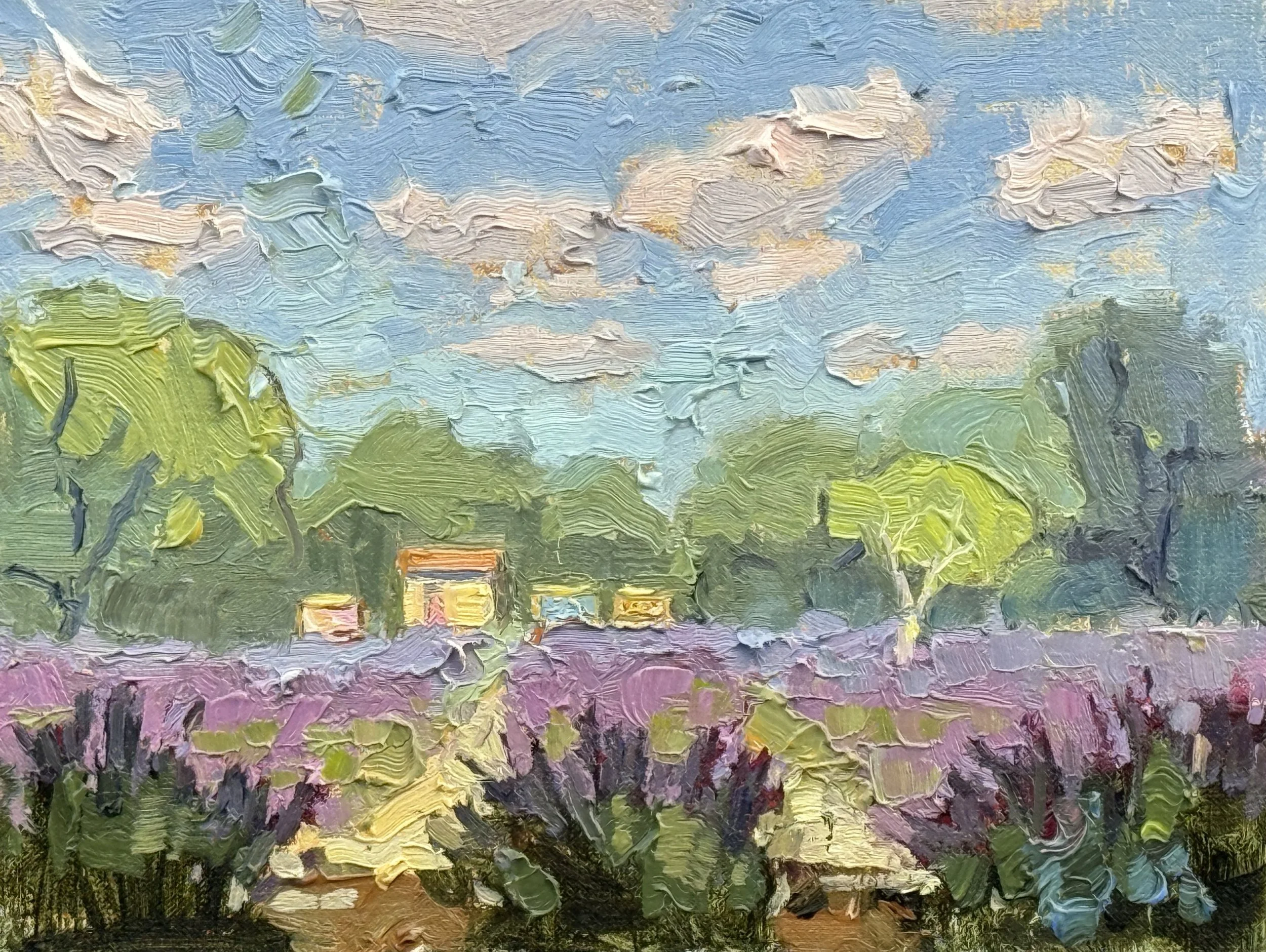 Van Gogh's Garden study 2.jpg