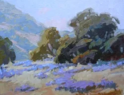 Hidden+Lupine+Bloom+©+∂ebra+Huse+plein+air+2013+copy.webp
