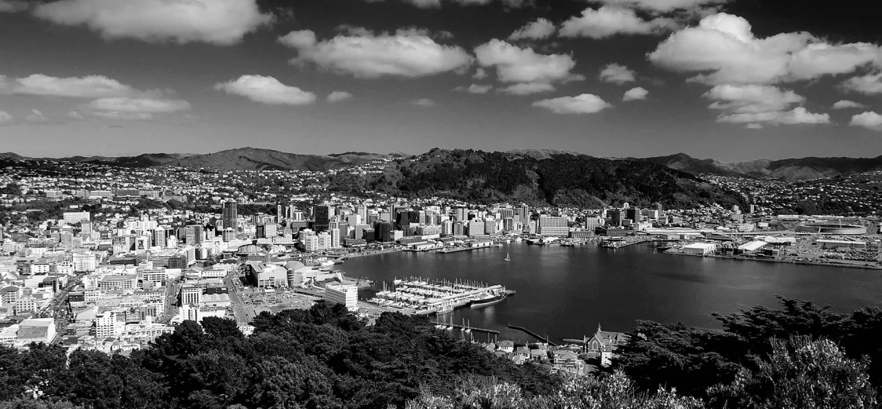 Wellington.jpg