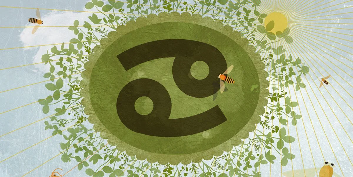 5 Character Traits All Cancer Zodiac Signs Have In Common