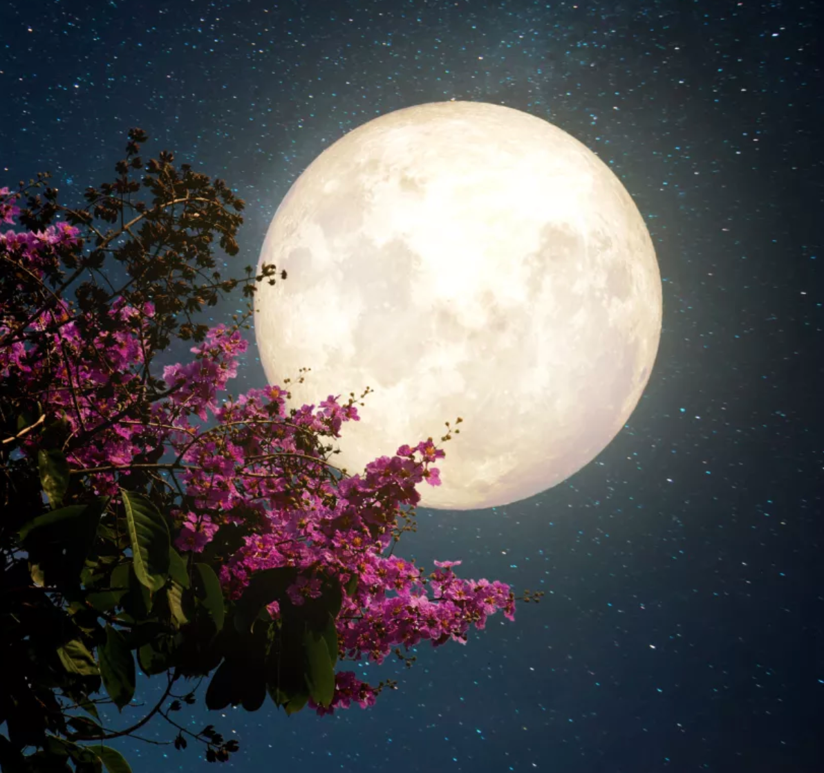 When's the next full moon? What to know for August 2021