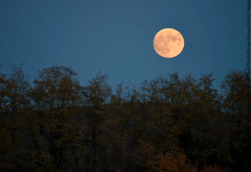 Here’s The Spiritual Meaning Of October’s Full Hunter’s Moon
