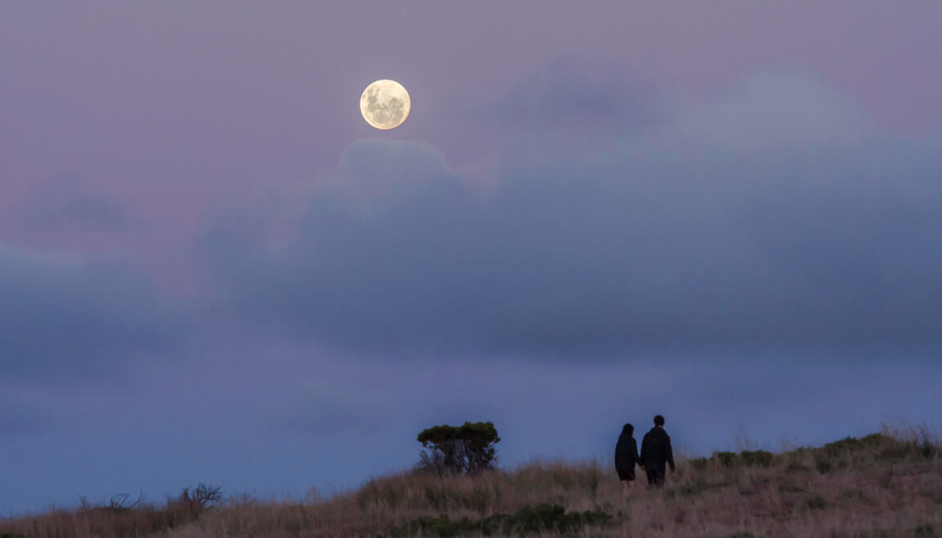 An Astrologer Unpacks the Surprising Emotional Effects of Having a Birthday on or Near a Full Moon