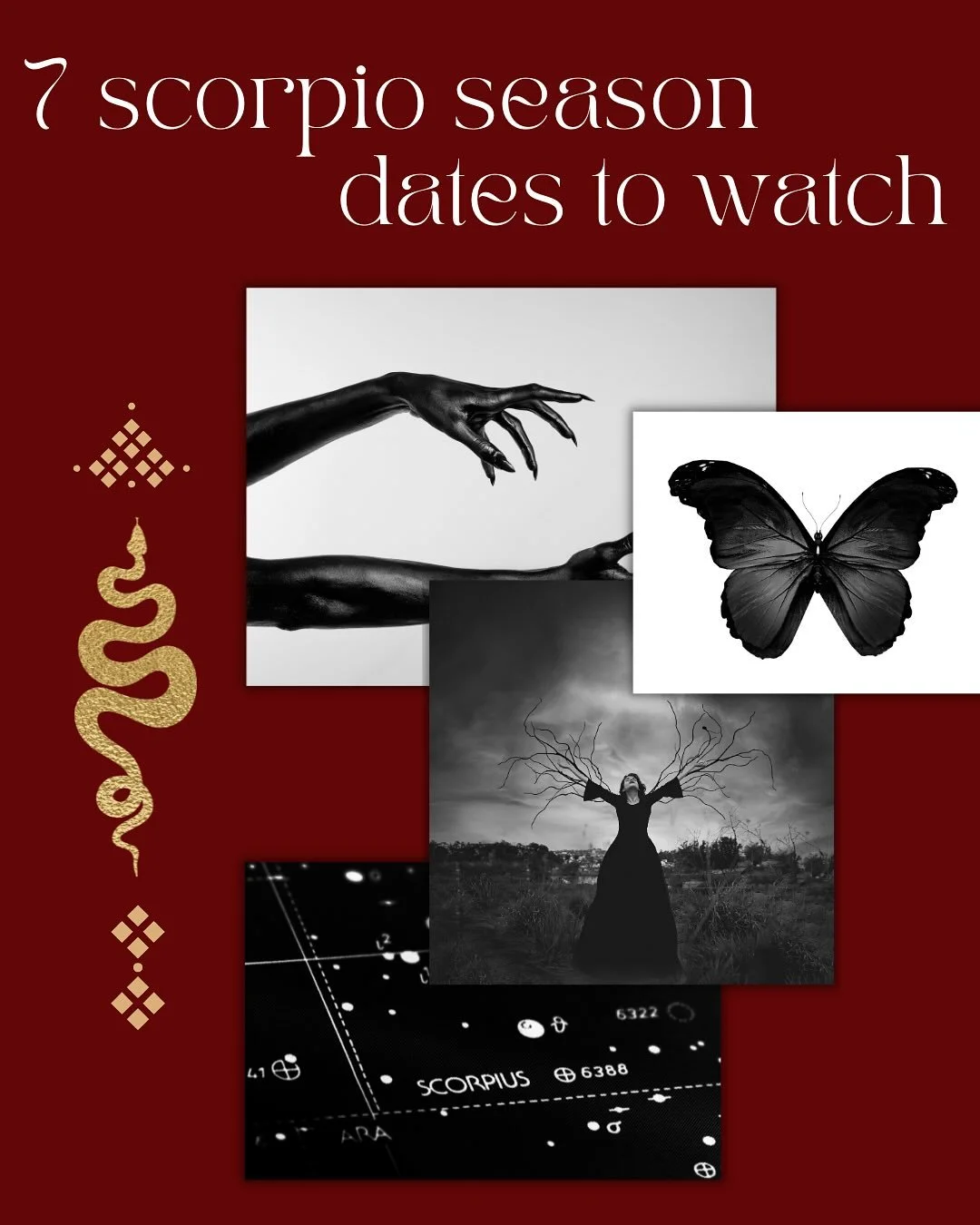 👻 Scorpio season is the host of Spooky Season for a reason! In 2025 fashion, November&rsquo;s astrology is going to rock your world, bb! 🫨 💥 

🗓️ Here are 7 dates to watch. Sign up for my newsletter to receive a full breakdown of the meaning of t