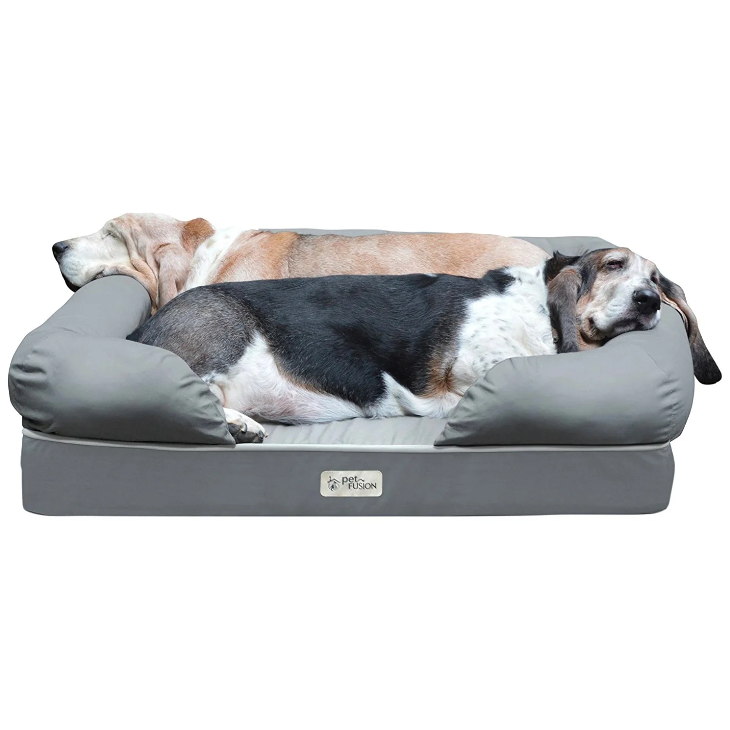 absolute dog bed