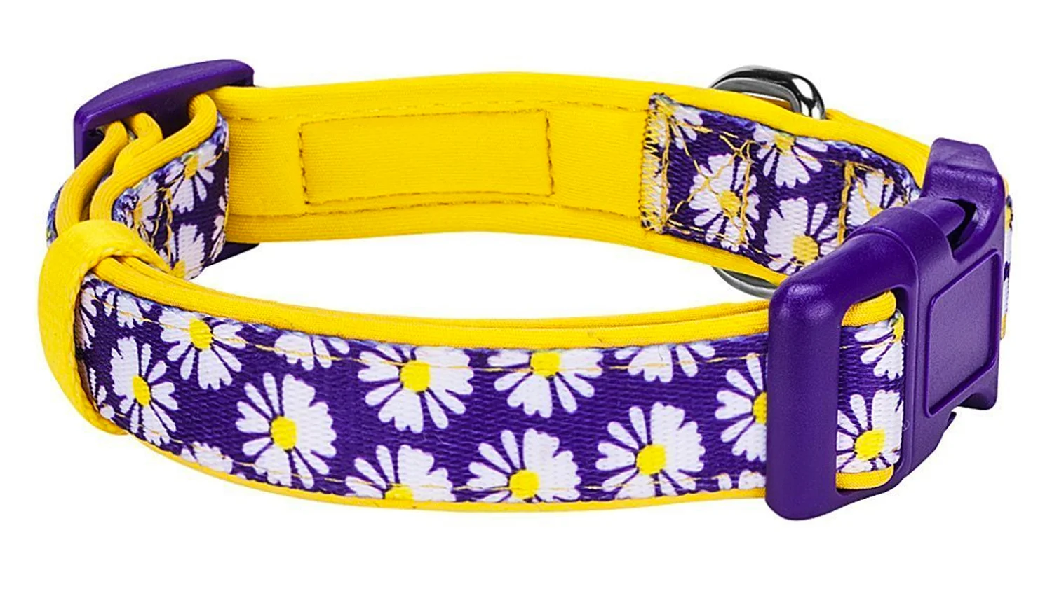 designer martingale collar