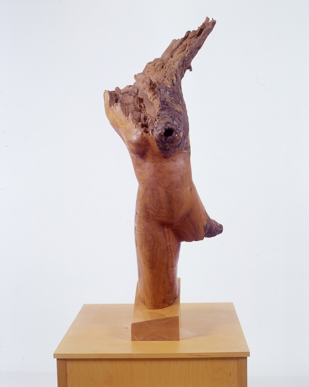 16.a-Ono-Victory-1996.-Apple-wood-129.5-x-68.6-x-35.6-cm-x.jpg