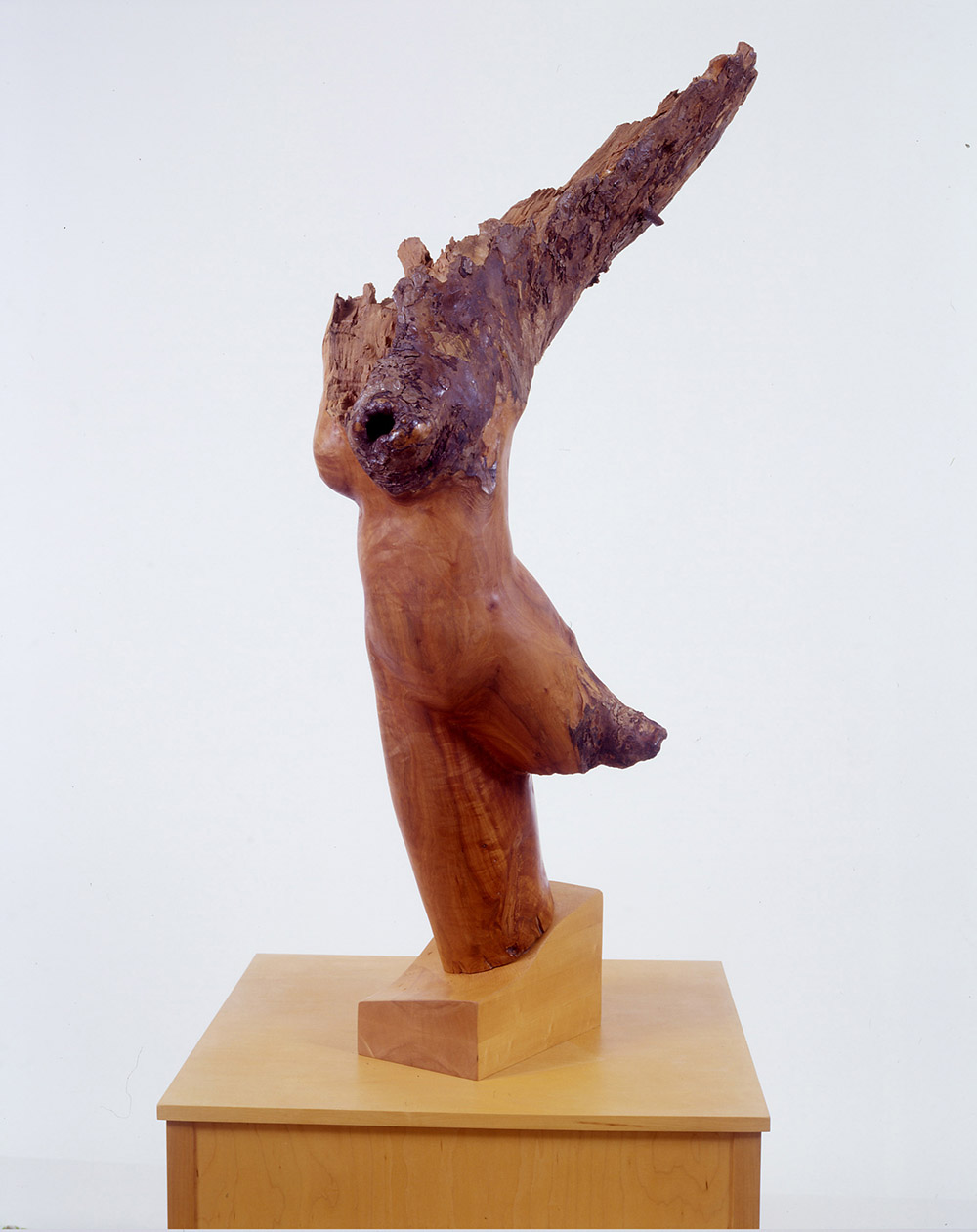 16.b-Ono-Victory-1996.-Apple-wood-129.5-x-68.6-x-35.6-cm-x.jpg