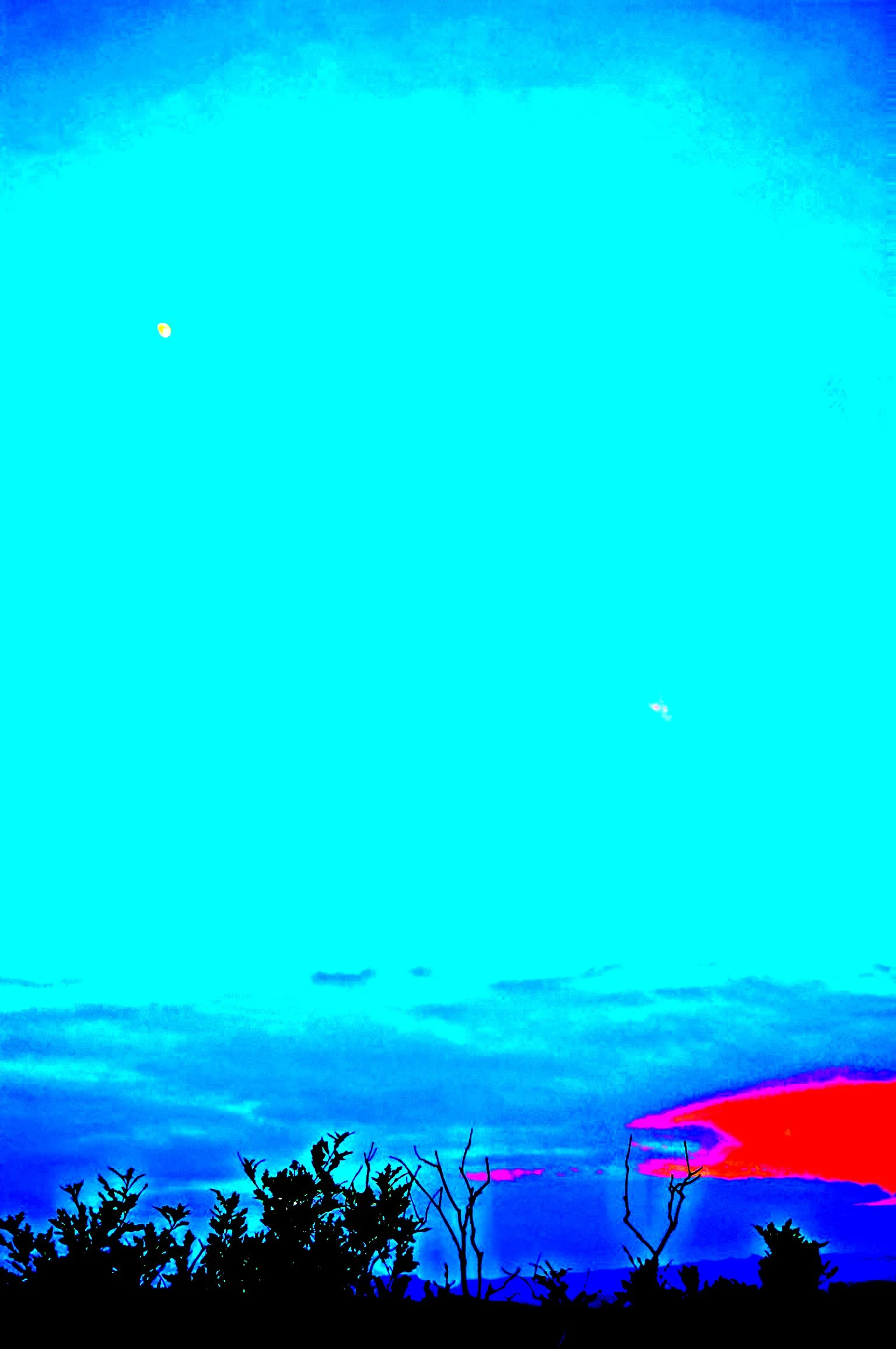 IMG_4802_1.jpg