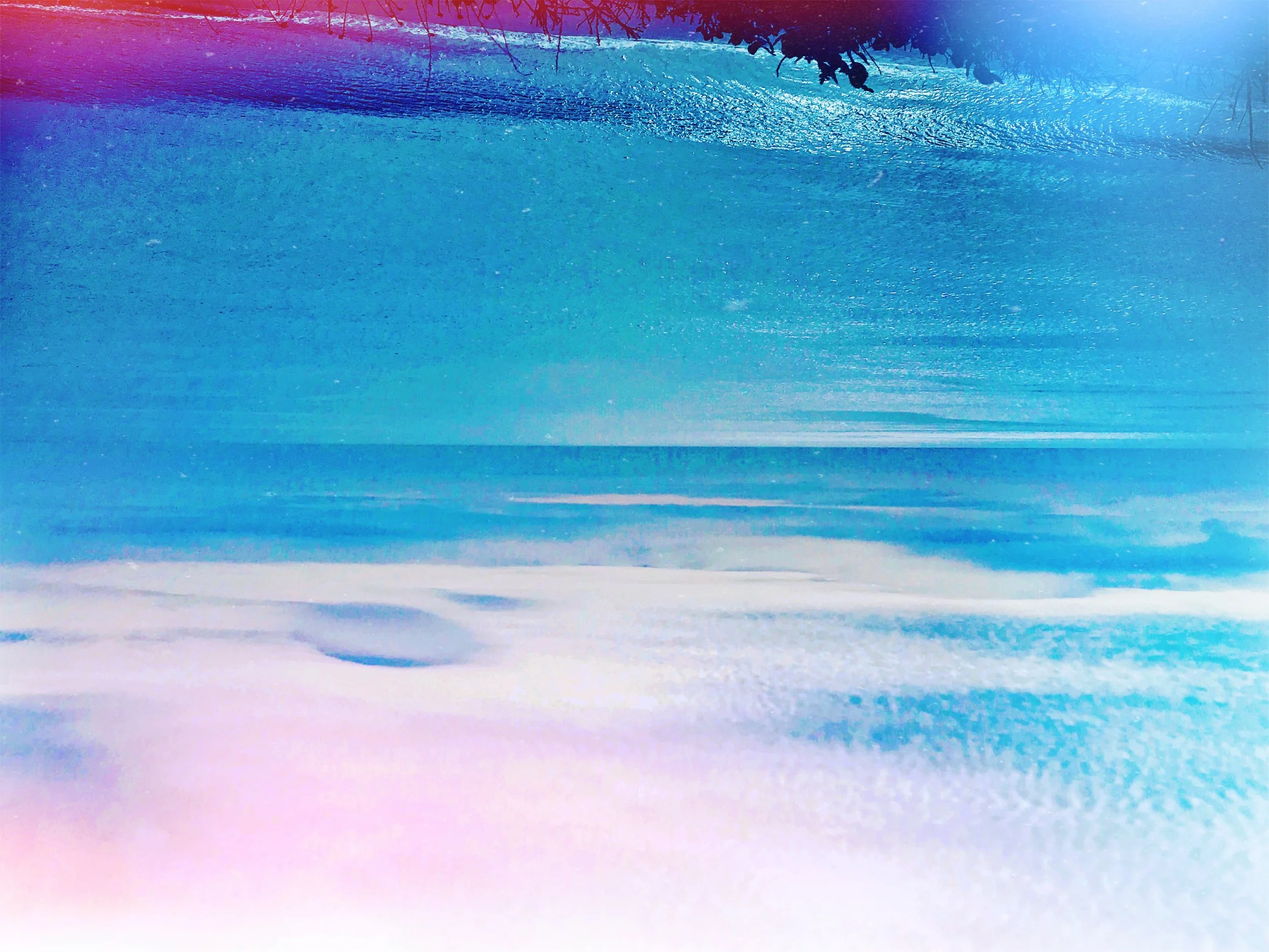 tempImageForSave 2.JPG