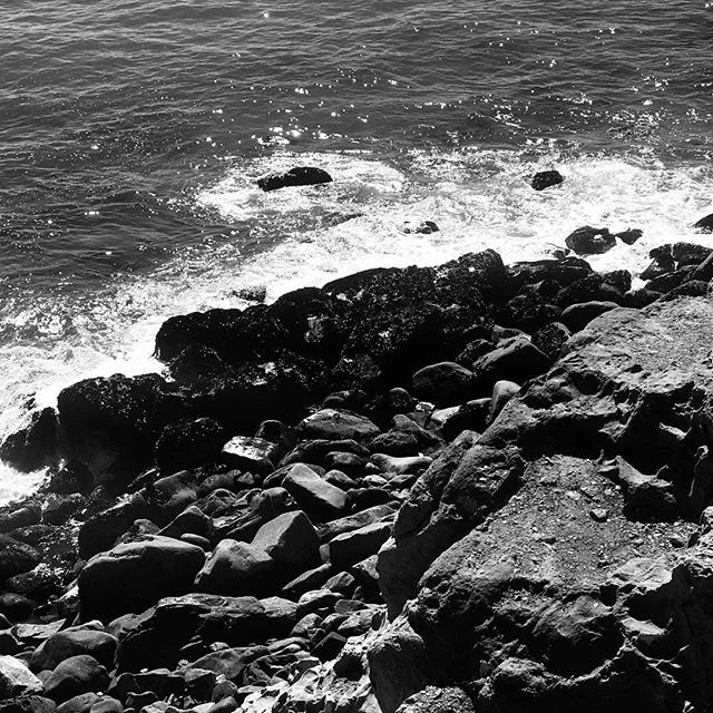 I'm out there somewhere. Lost in the void before the waves meet the land. The silence is dumbfounding and the untetheredness liberating.
.
.
.
Today, optionless and shown the unbearable light of truth, I think I'll finally answer the call and become 