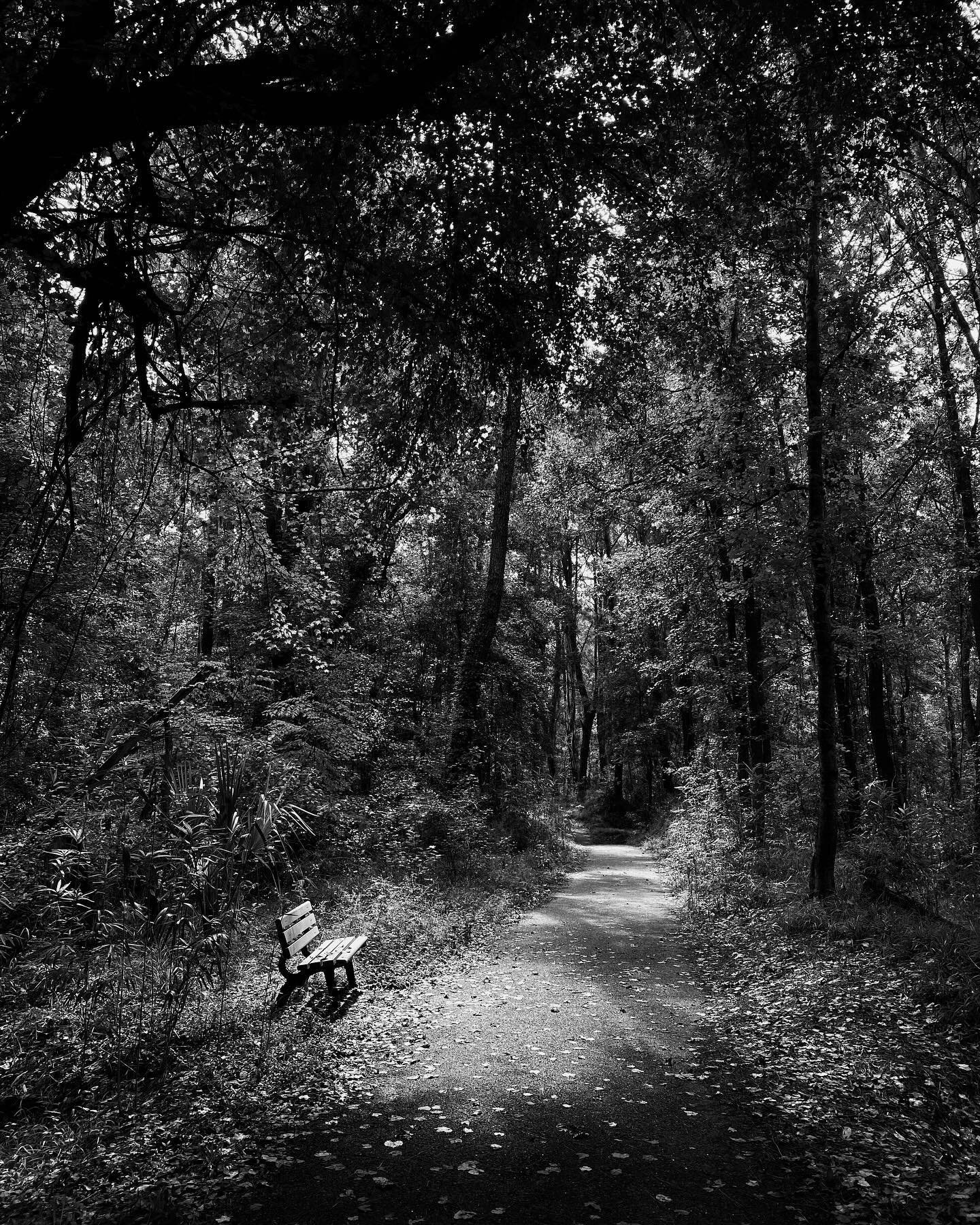 A morning stroll down Green Creek Trail in Richmond Hill