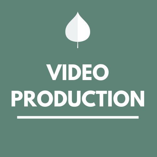 Logo with a white leaf icon above the words "Video Production" on a green background.