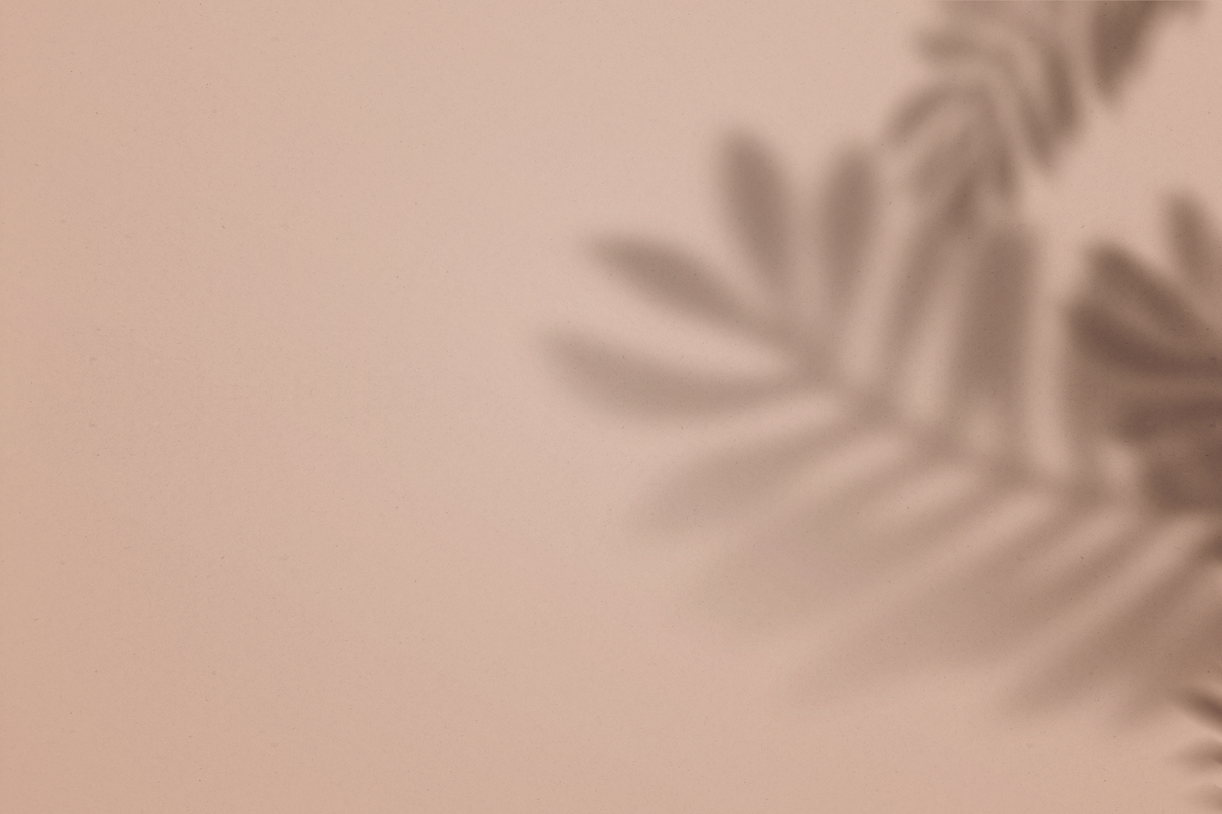 Background for Freebies.png