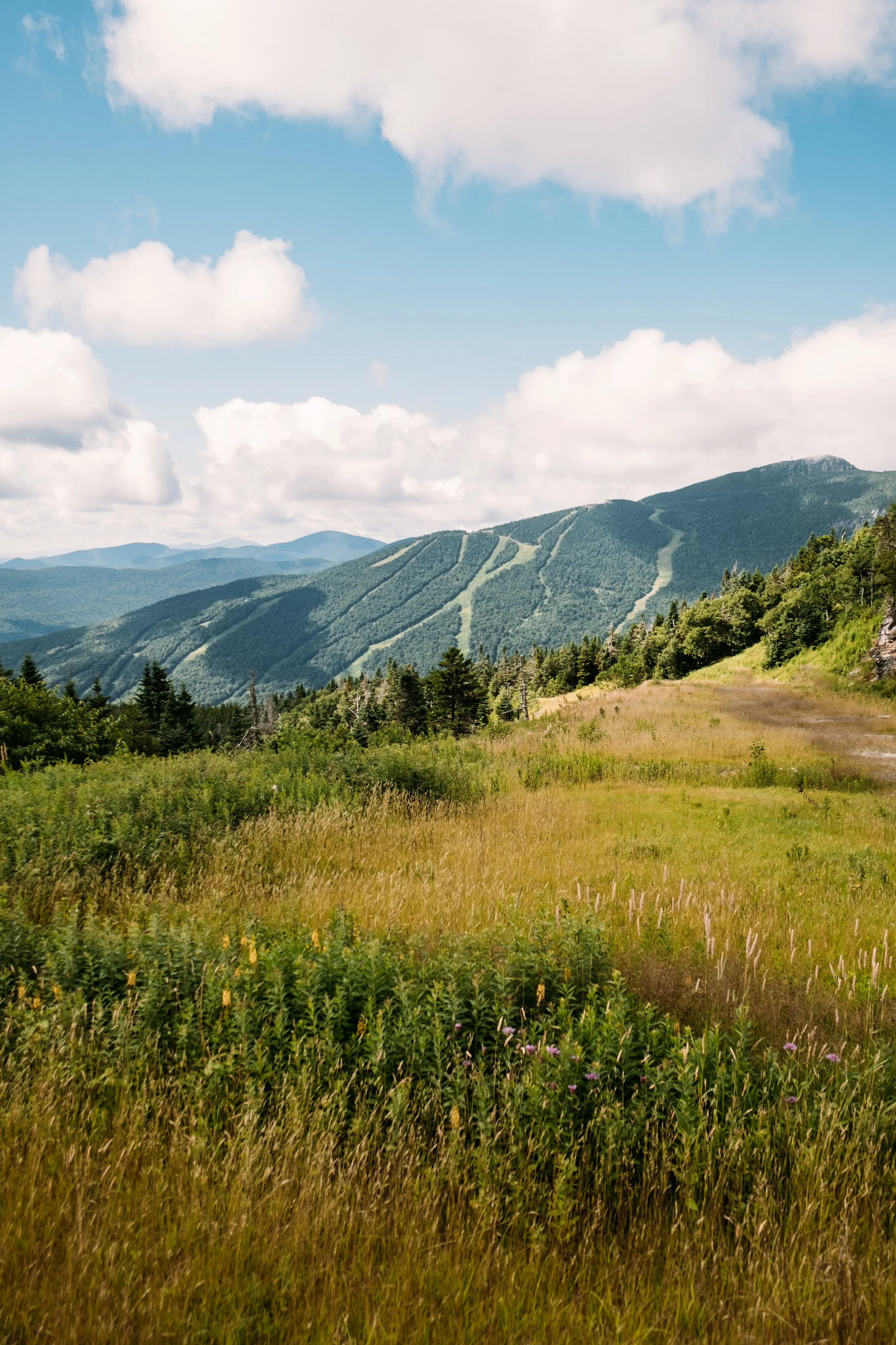 SterlingPond_SmugglersNotchVT_PeteCurialle_5838.jpg