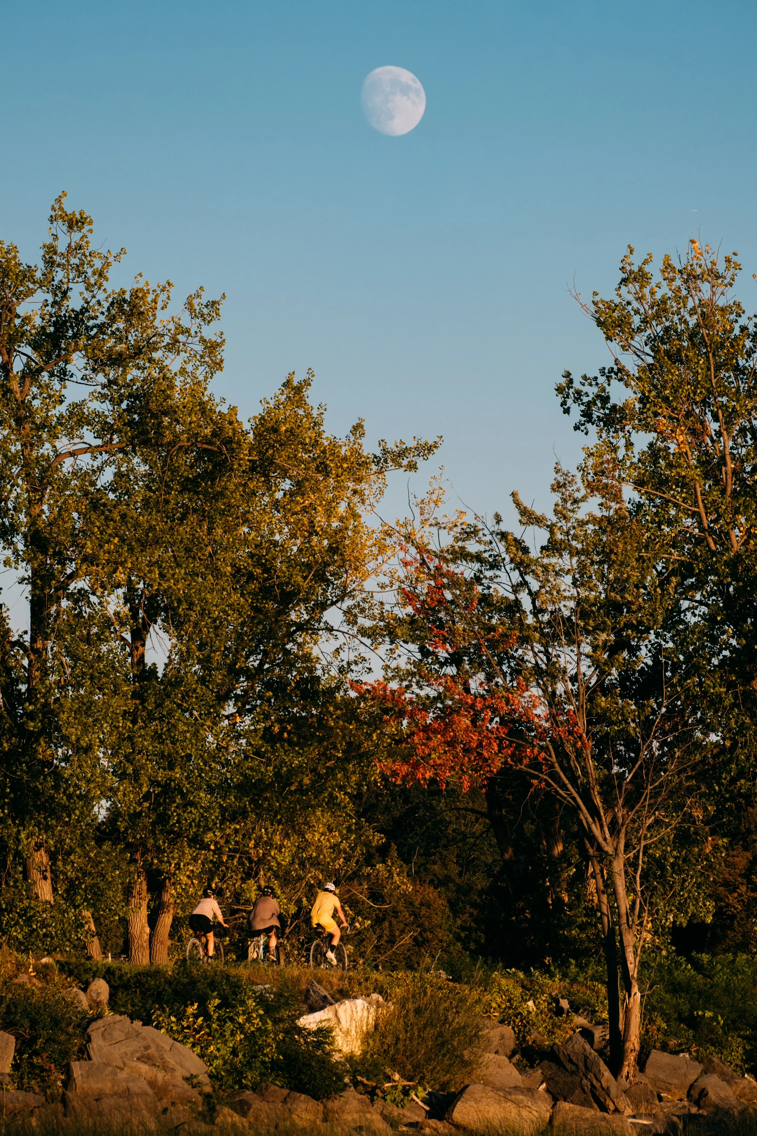 Causeway_ColchesterVT_PeteCurialle_3211.jpg