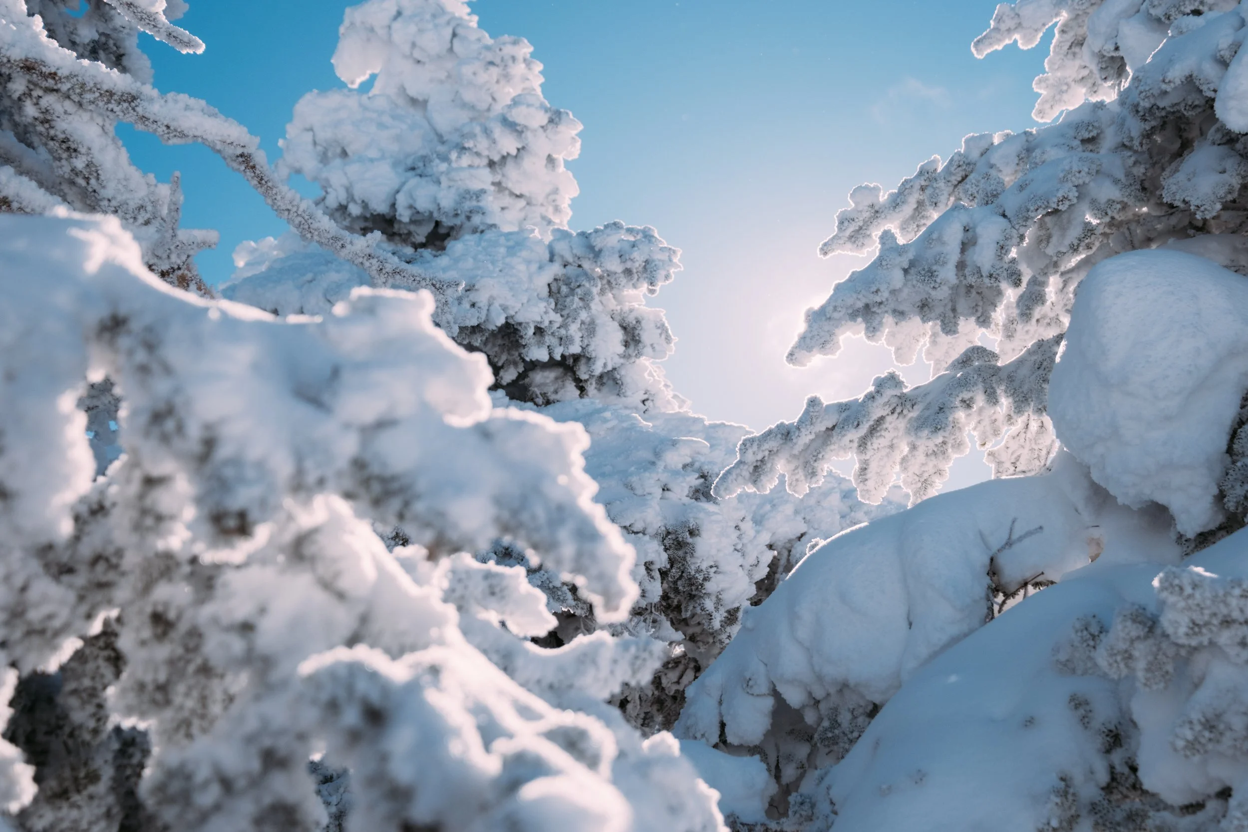 Scenic_MountainInn_KillingtonVT_PeteCurialle0458.jpg