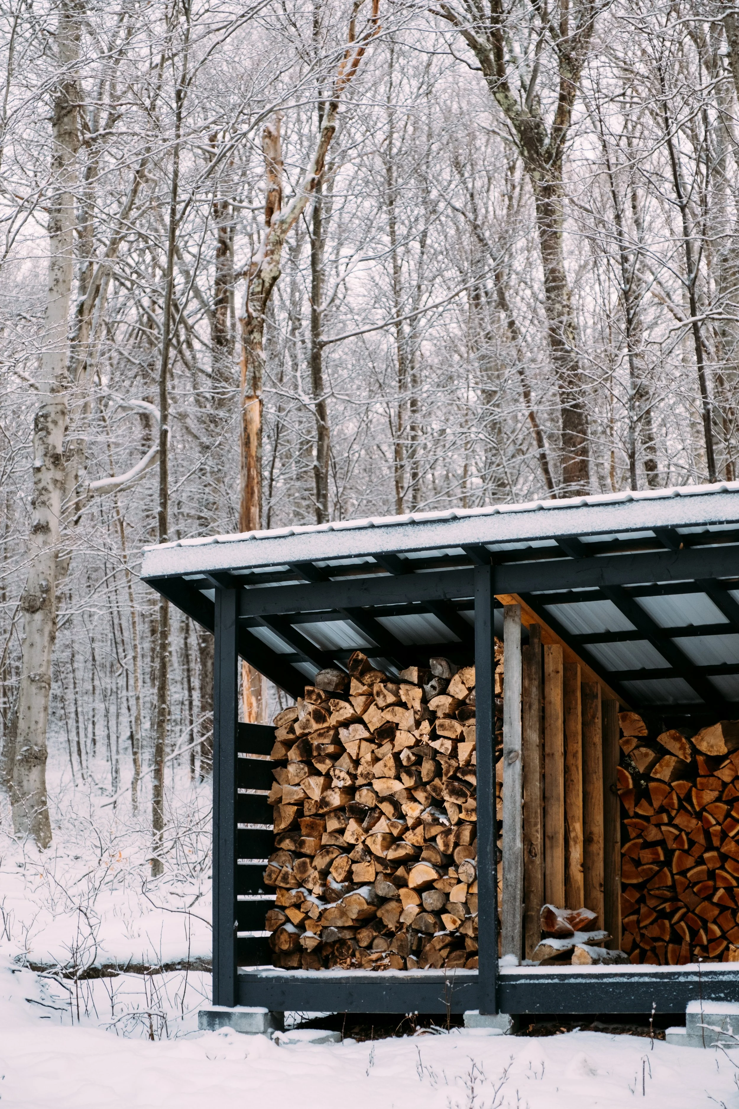 DarkstarCabin_HuntingtonVT_PeteCurialle_6703.jpg