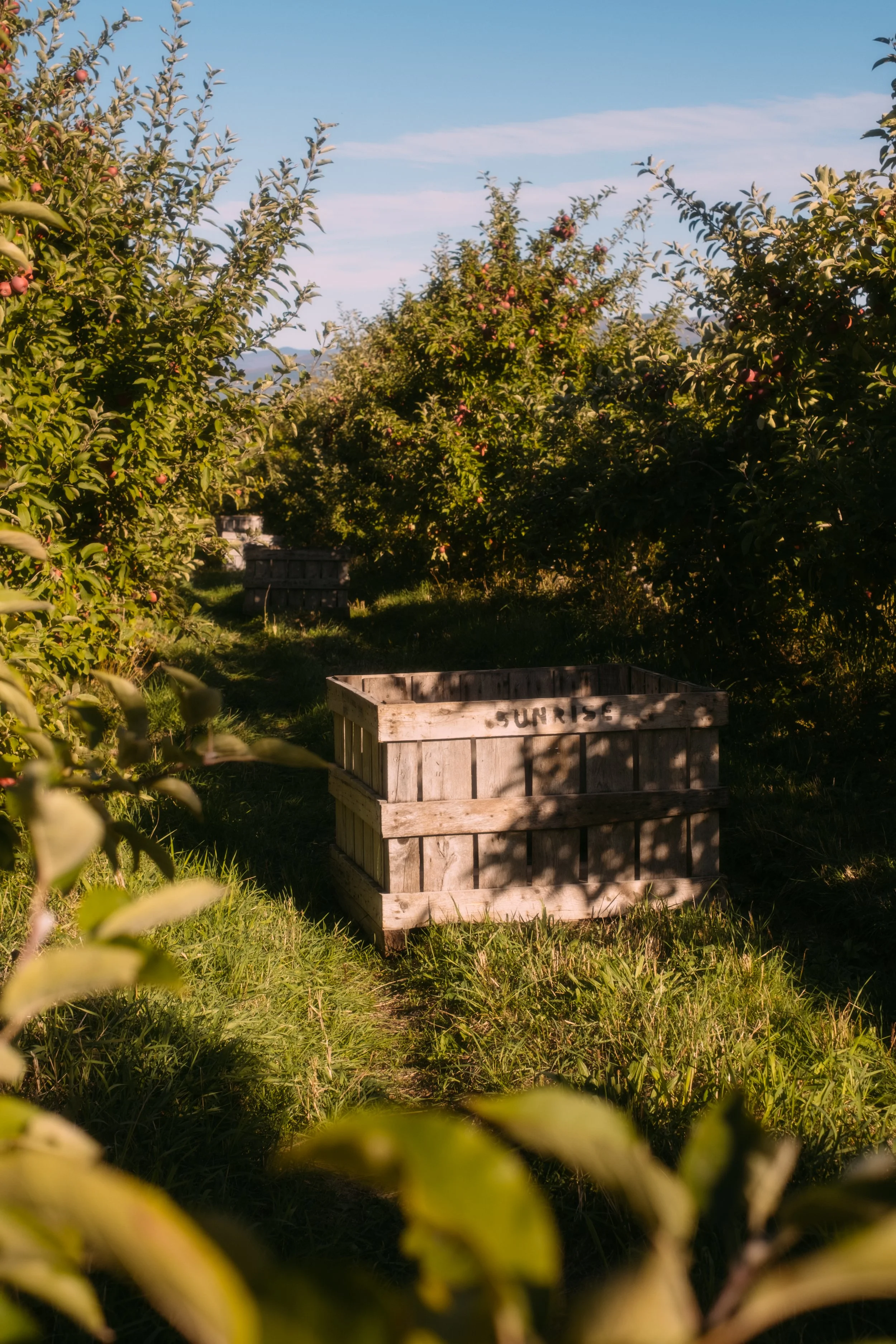 GravelRide_MiddleburyVT_PeteCurialle_5404.jpg