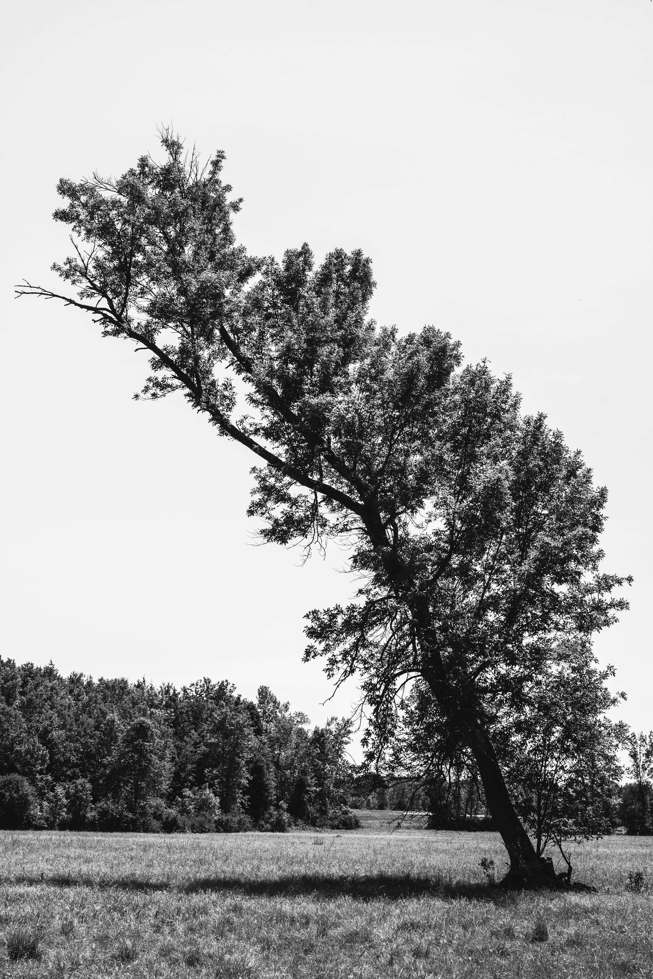 BTVtoPhilo_ShelburneVT_PeteCurialle_2305-2.jpg