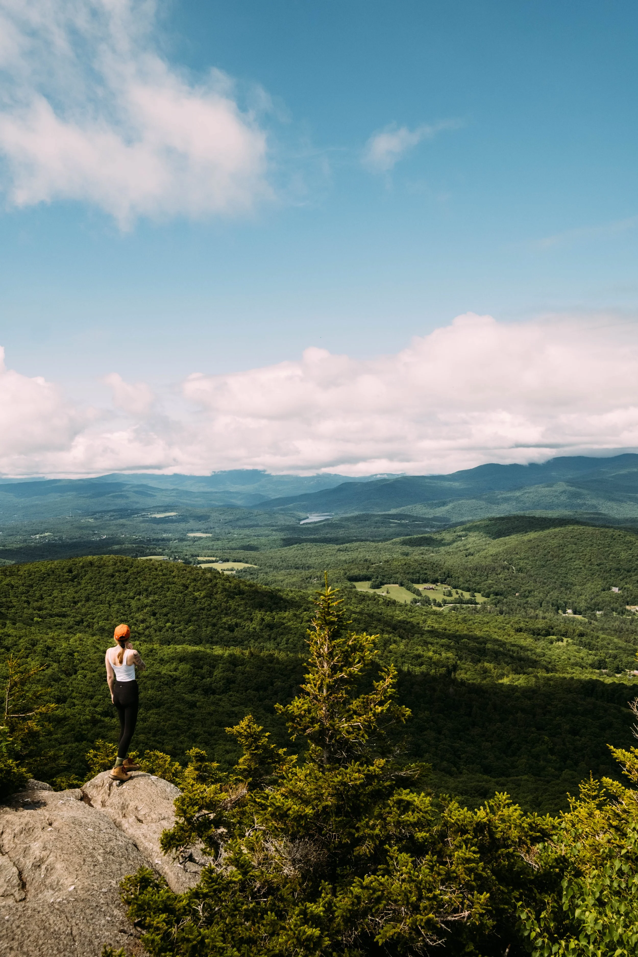 StowePinnacle_StoweVT_PeteCurialle_5670.jpg