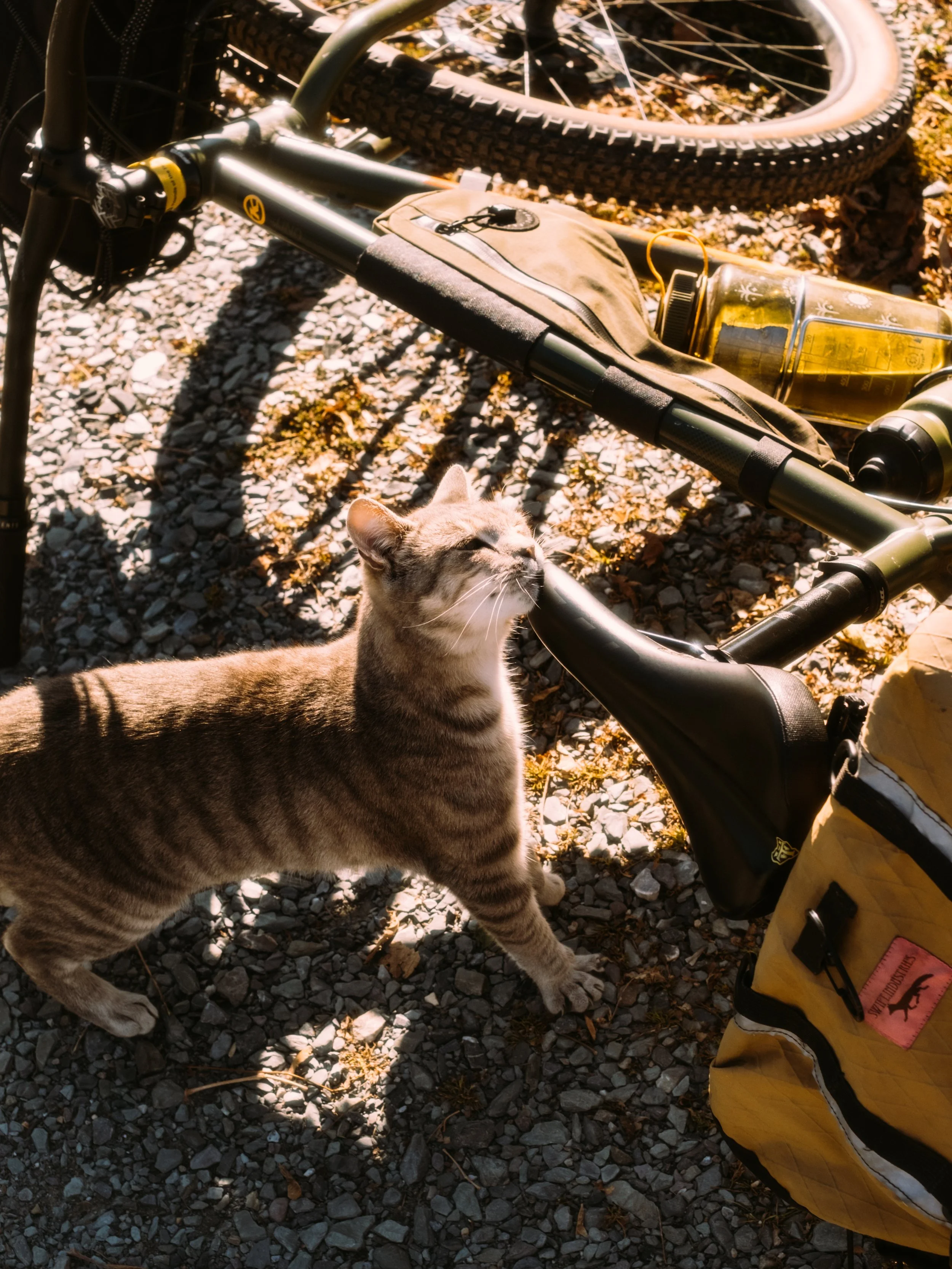 GravelRide_MiddleburyVT_PeteCurialle_5334-2.jpg