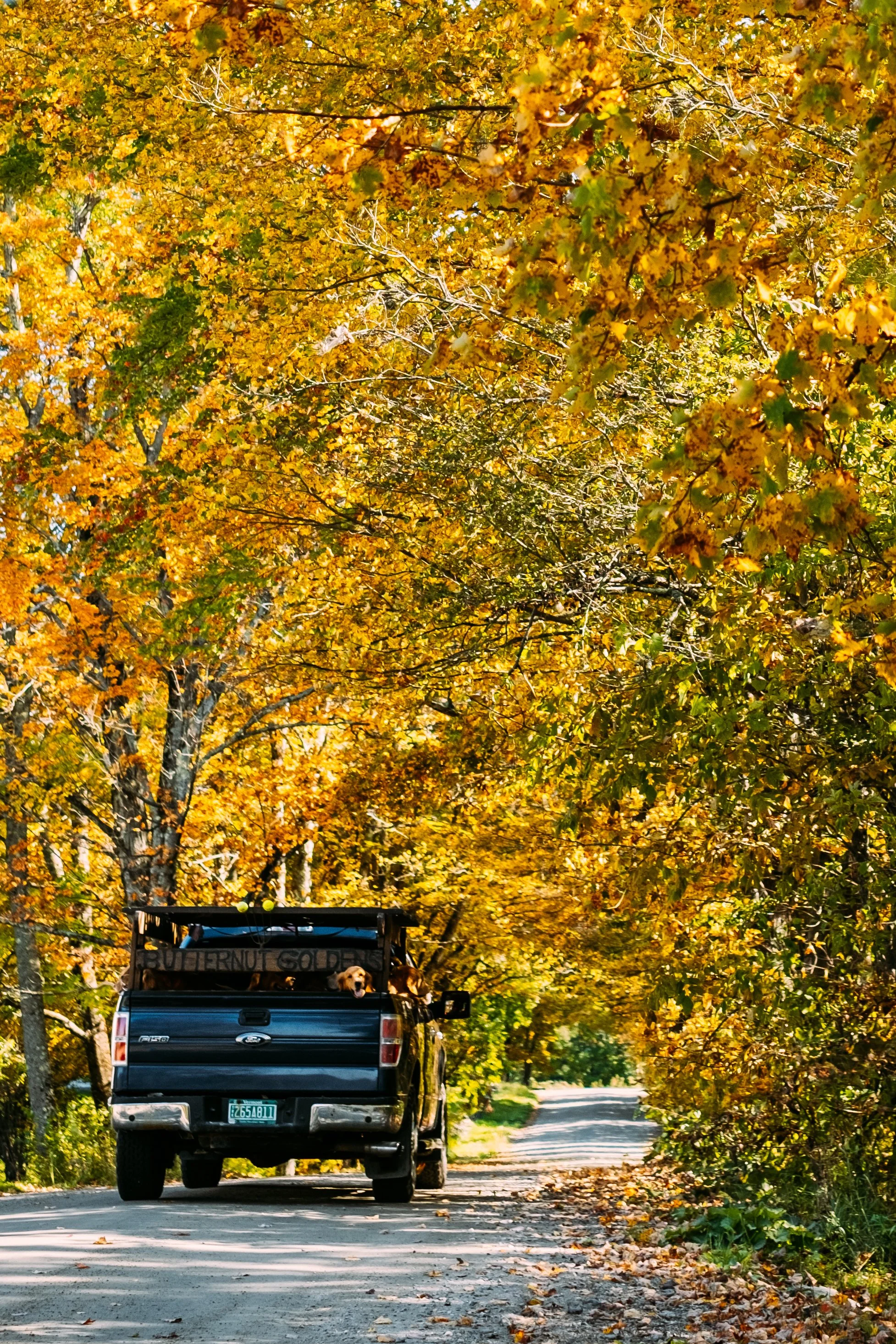 GravelRide_CambridgeVT_PeteCurialle_9176-2.jpg