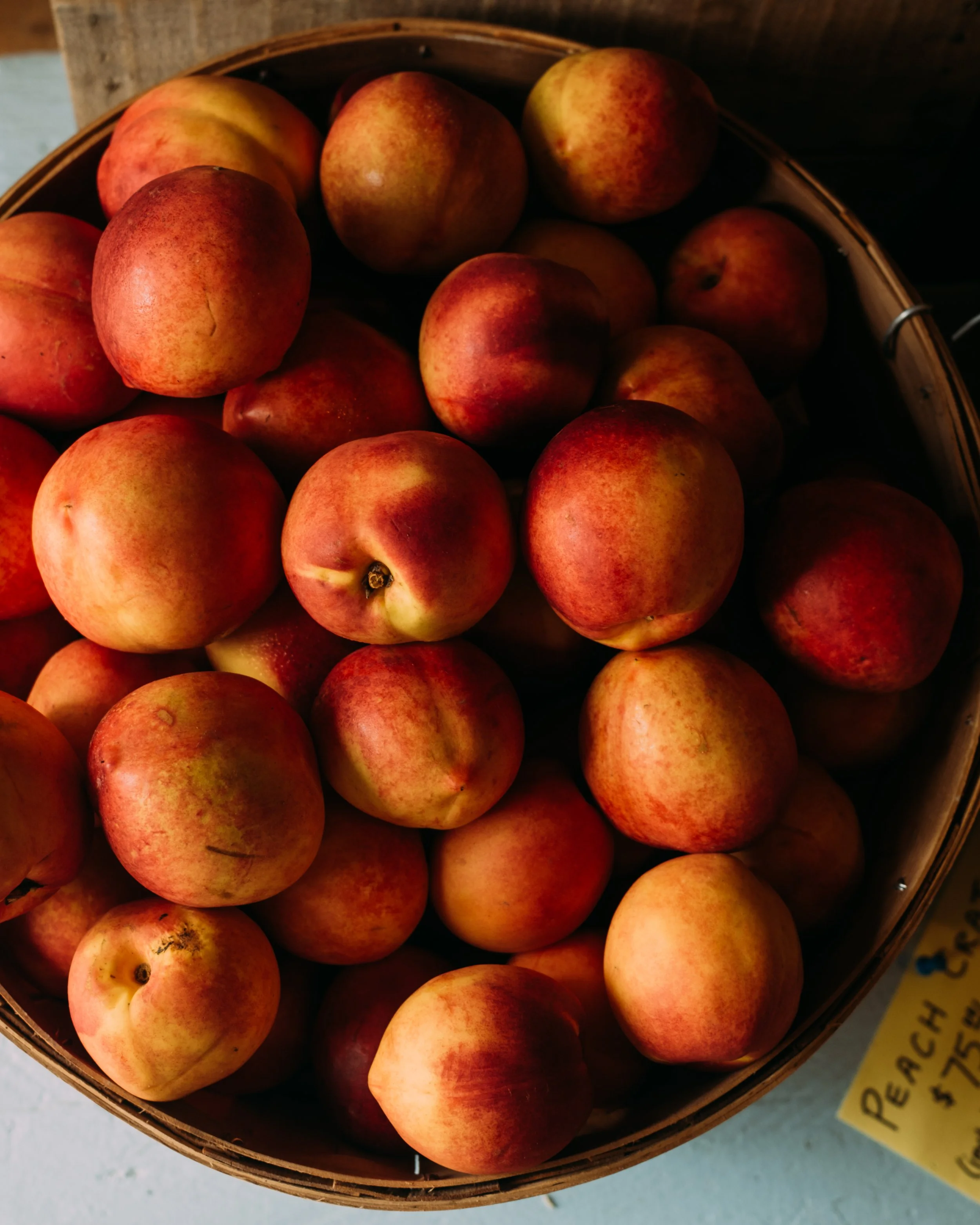 FullBellyFarm_MonktonVT_PeteCurialle_1159-2.jpg