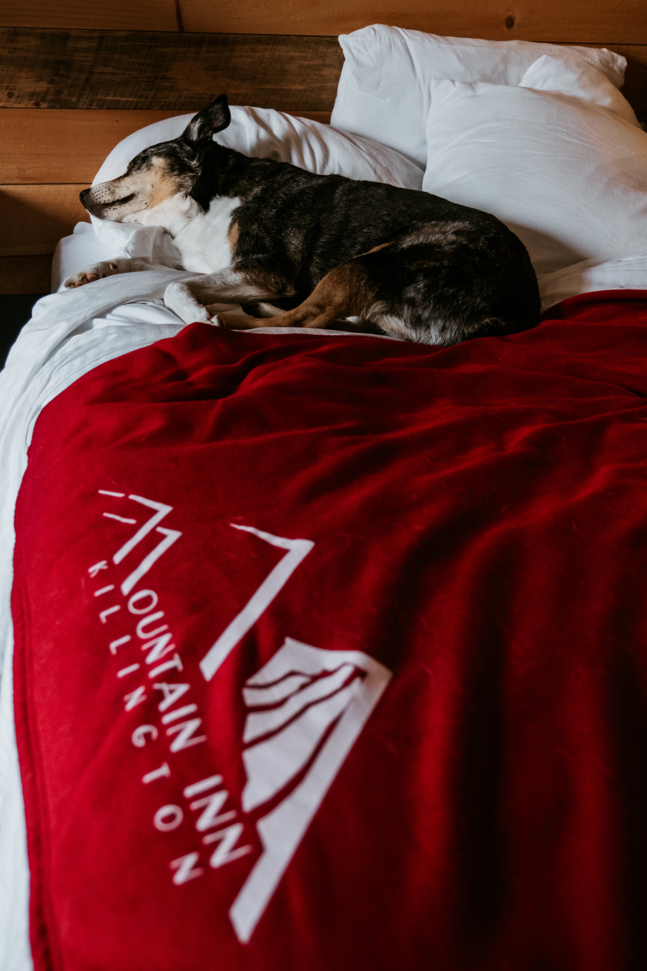 Interior_MountainInn_KillingtonVT_PeteCurialle_0066.jpg