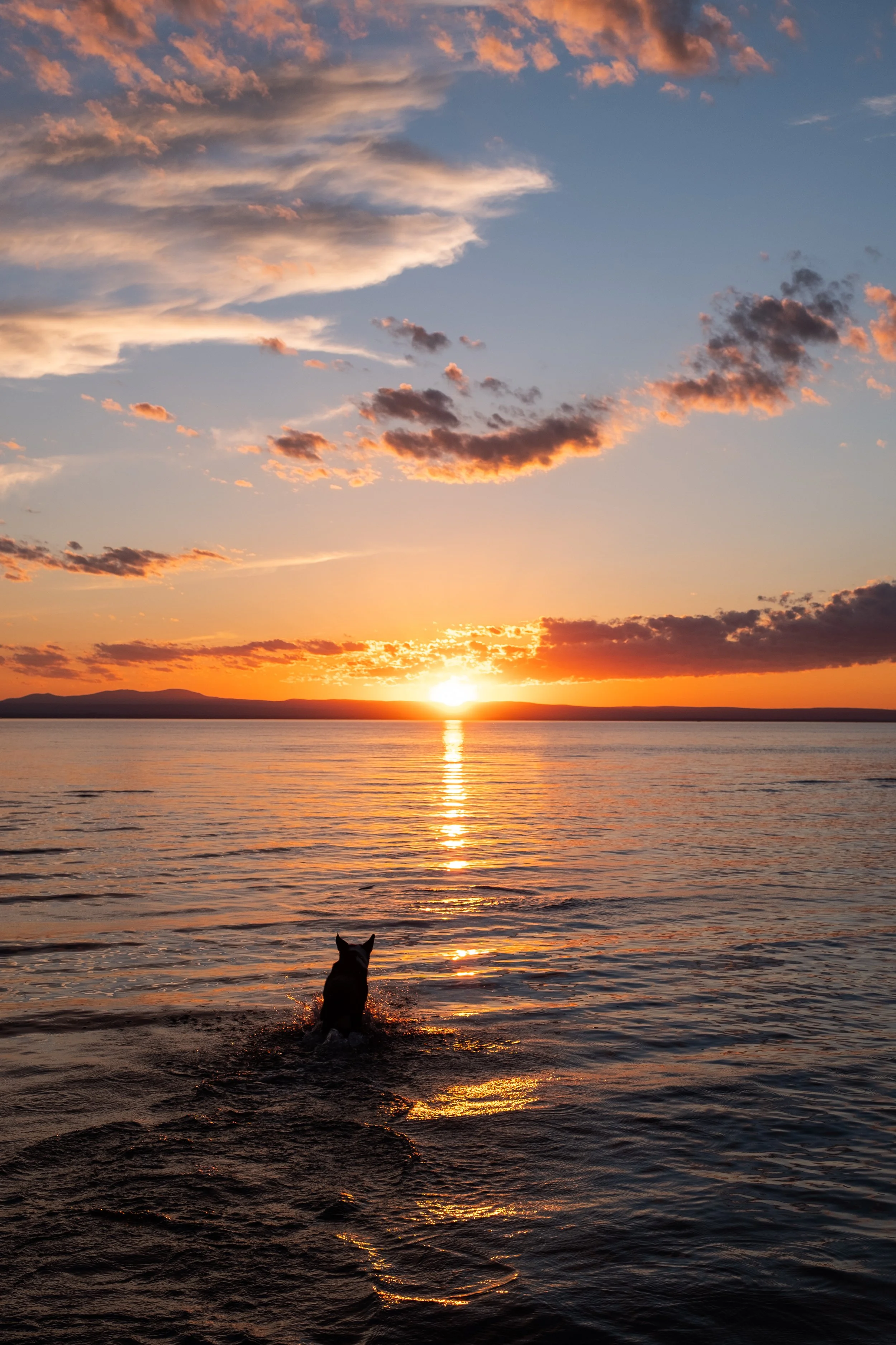 CityBeach_BurlingtonVT_PeteCurialle_1984.jpg