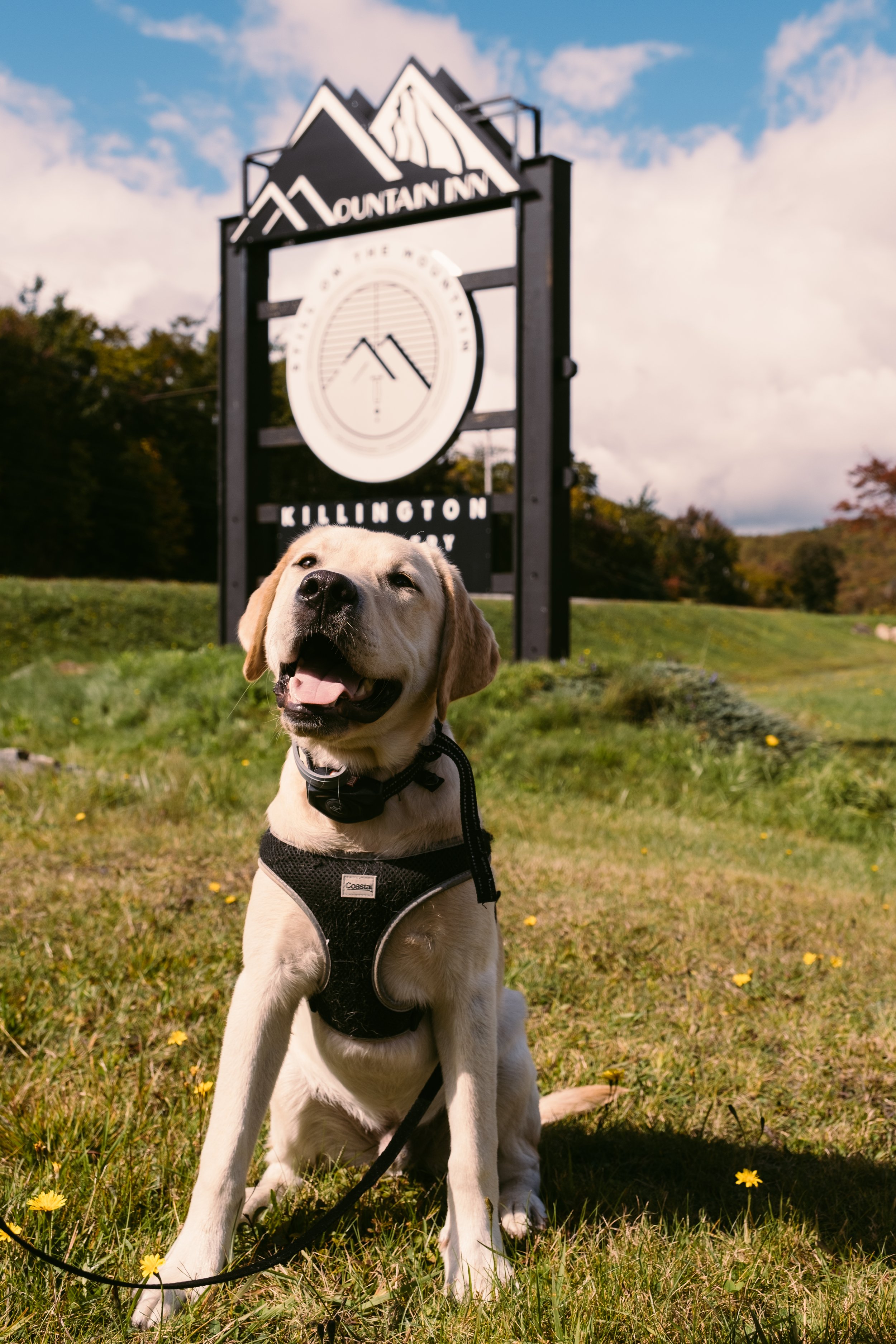 Bode_MountainInn_KillingtonVT_PeteCurialle_3900.jpg