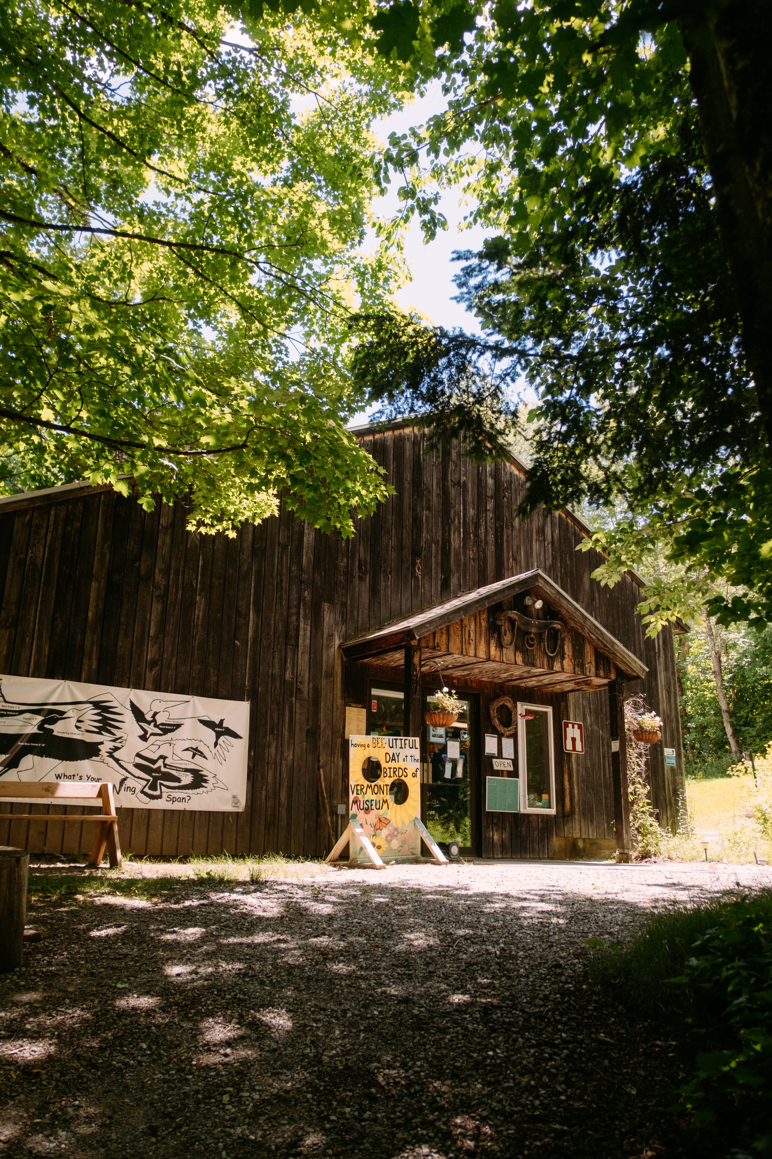 VermontBirdMuseum_HuntingtonVT_PeteCurialle_8059.jpg