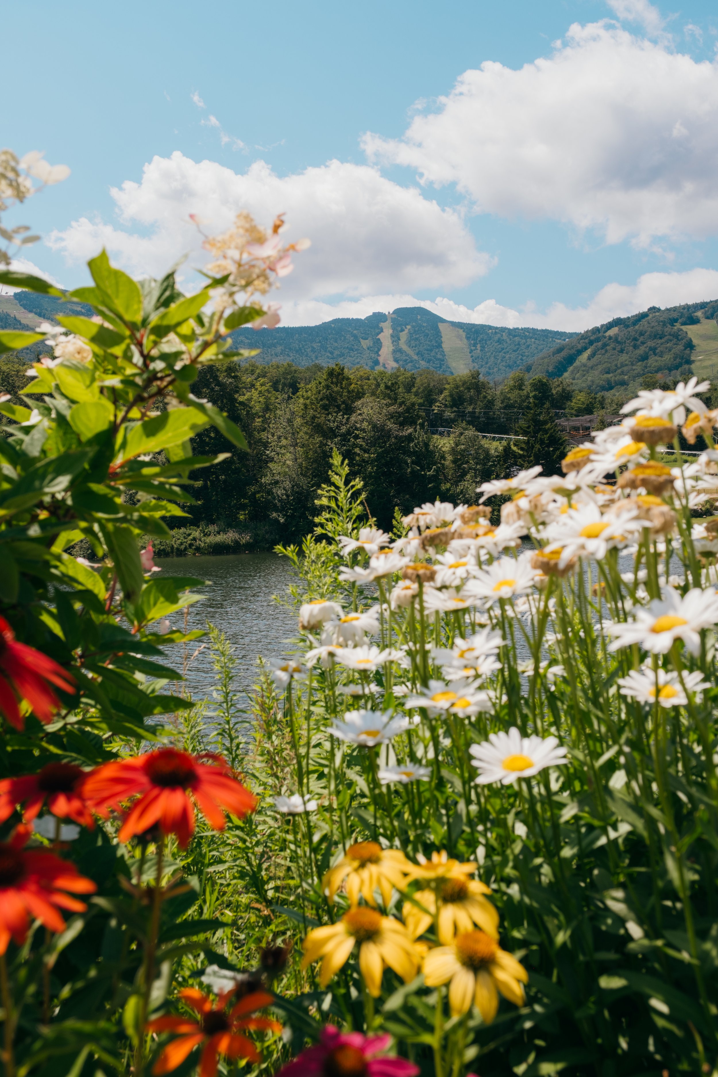 Scenic_MountainInn_KillingtonVT_PeteCurialle_9621.jpg