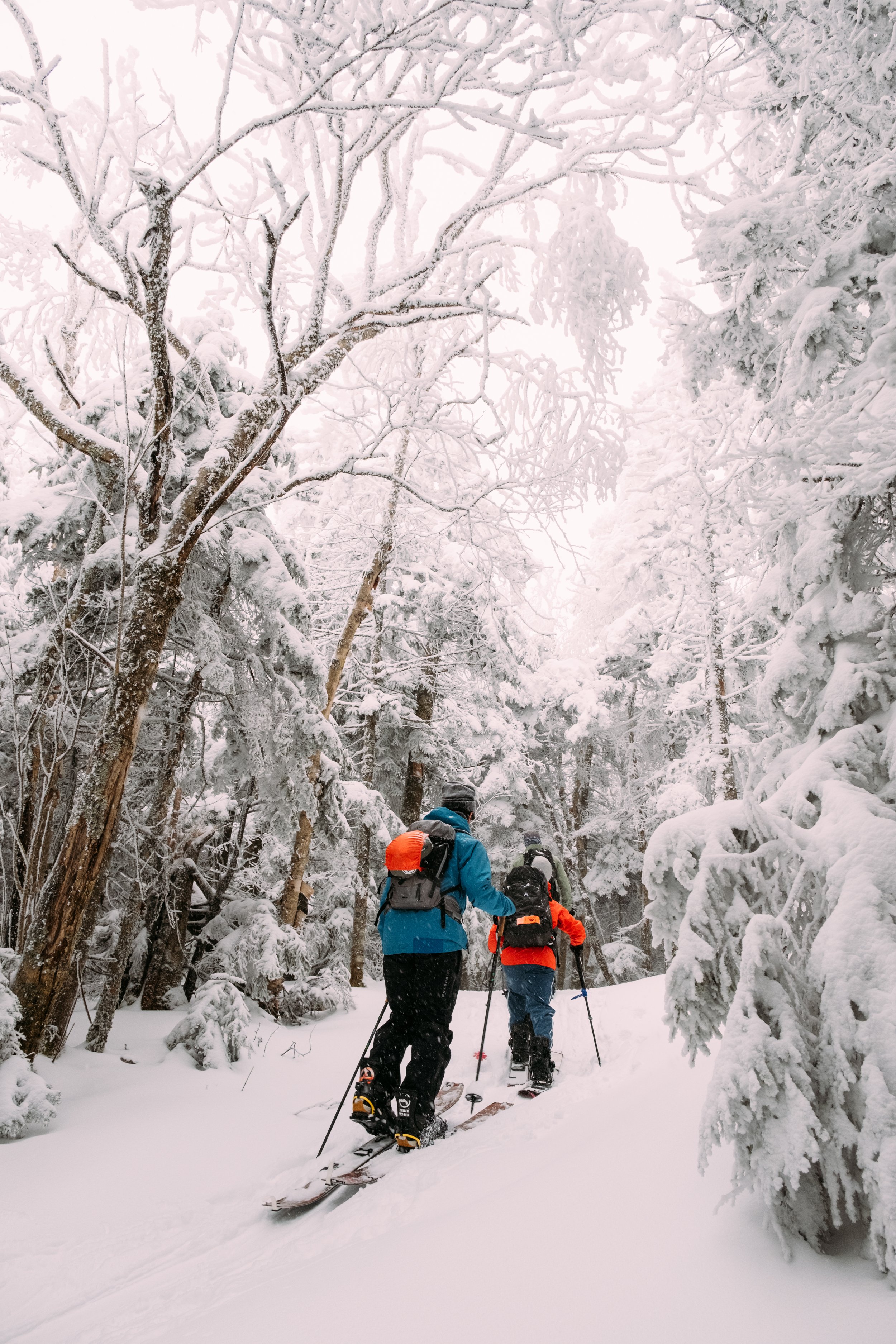 Splitboarding_BoltonValleyVT_PeteCurialle_6163.jpg