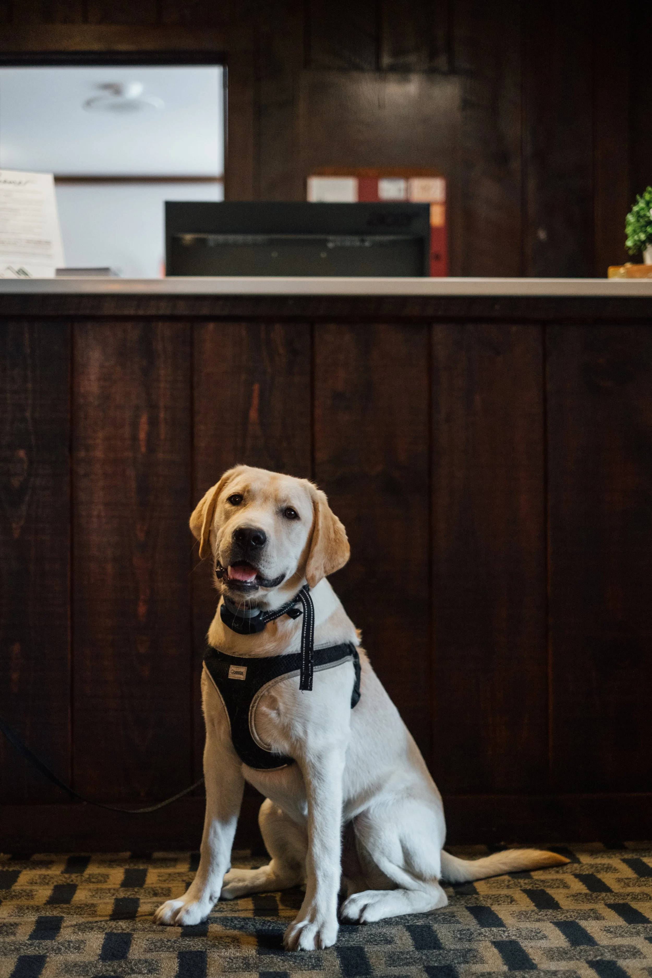Bode_MountainInn_KillingtonVT_PeteCurialle_3911-2.jpg