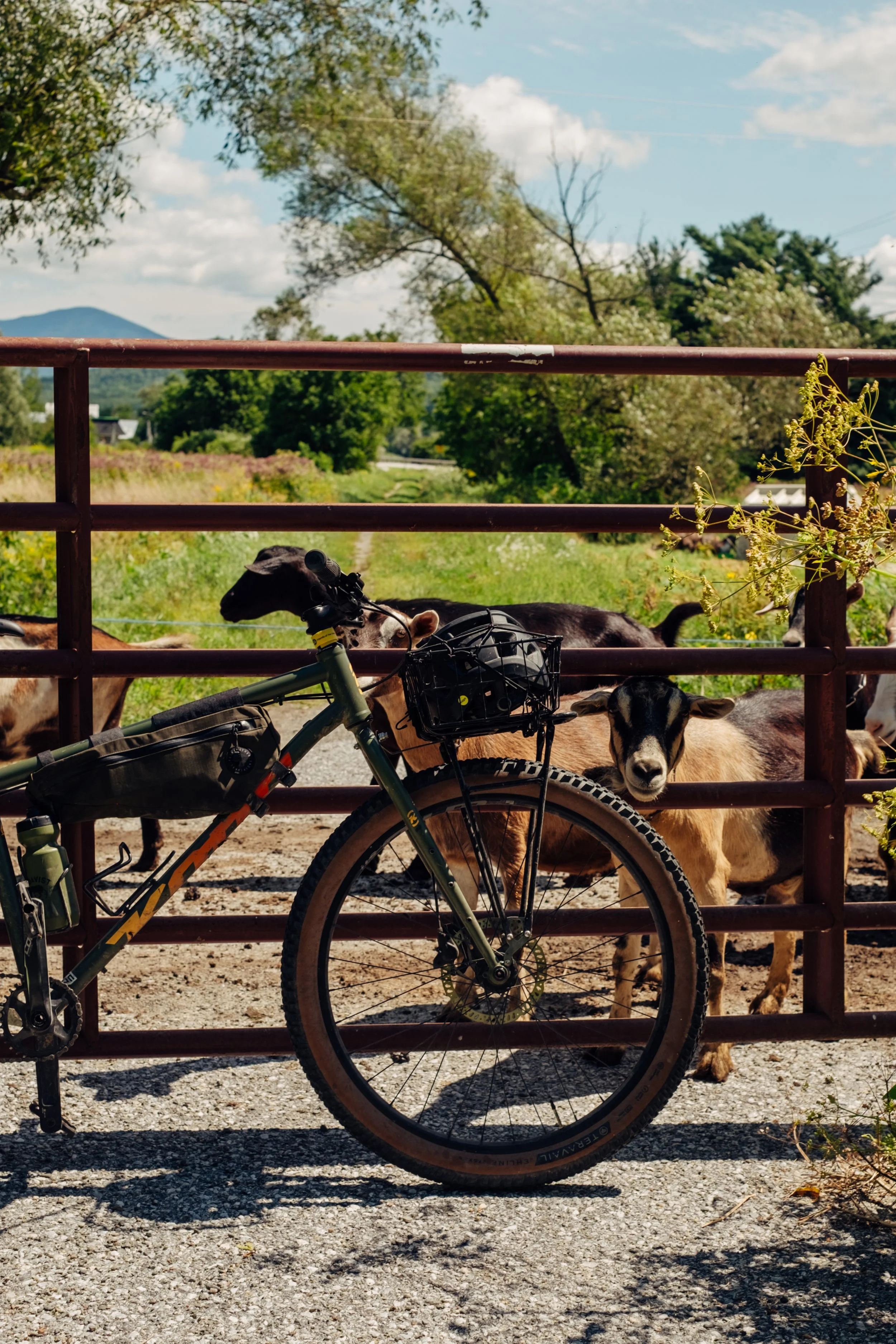 MissisquoiValleyRailTrail_EnosburgVT_PeteCurialle_4119.jpg