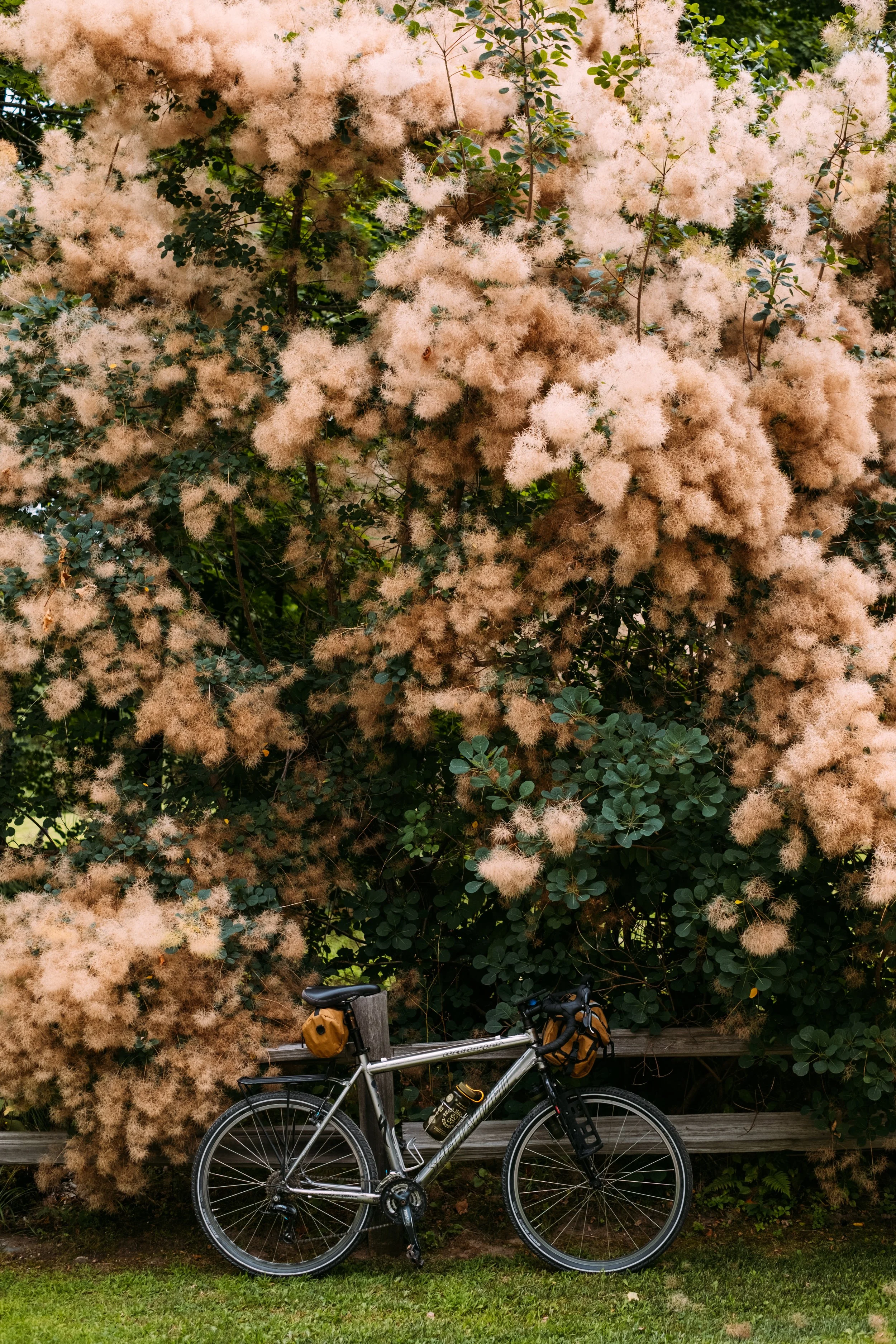 GravelRide_HinesburgVT_PeteCurialle_5675.jpg