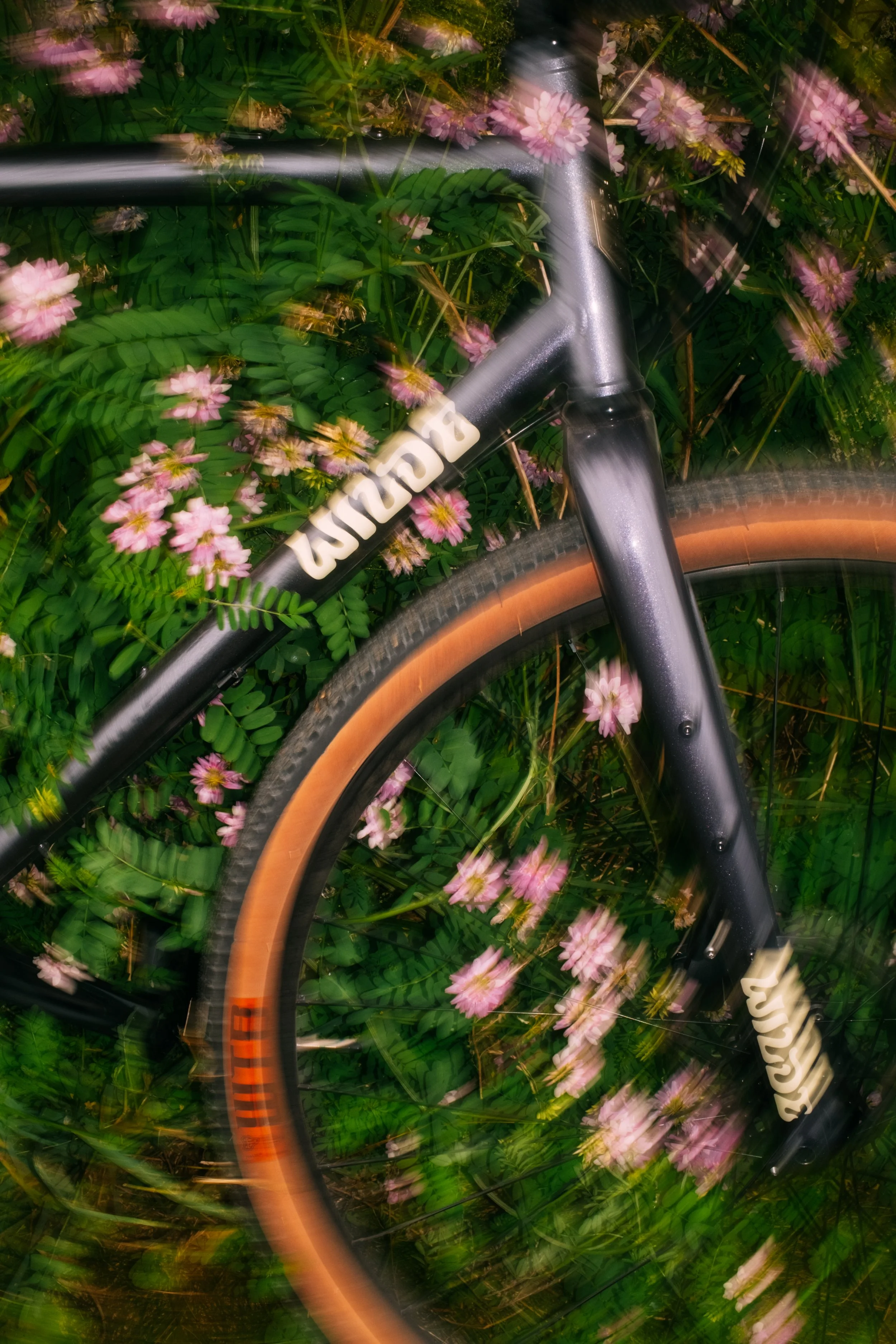 NewBike_BurlingtonVT_PeteCurialle_9041.jpg