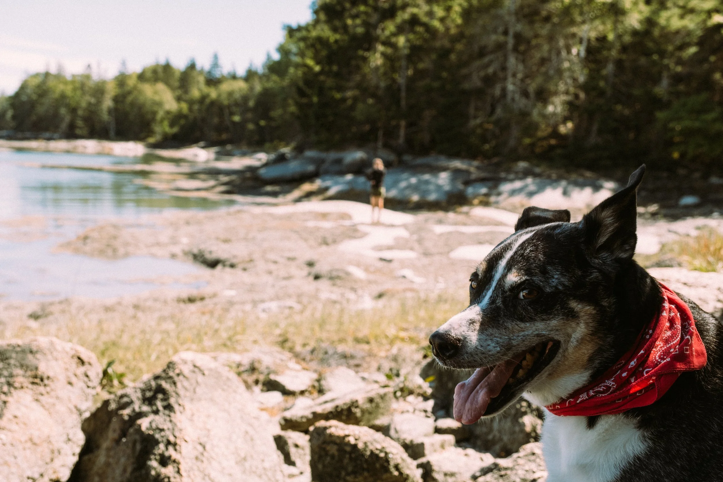 MaineTrip_BrooksvilleME_PeteCurialle_3457.jpg