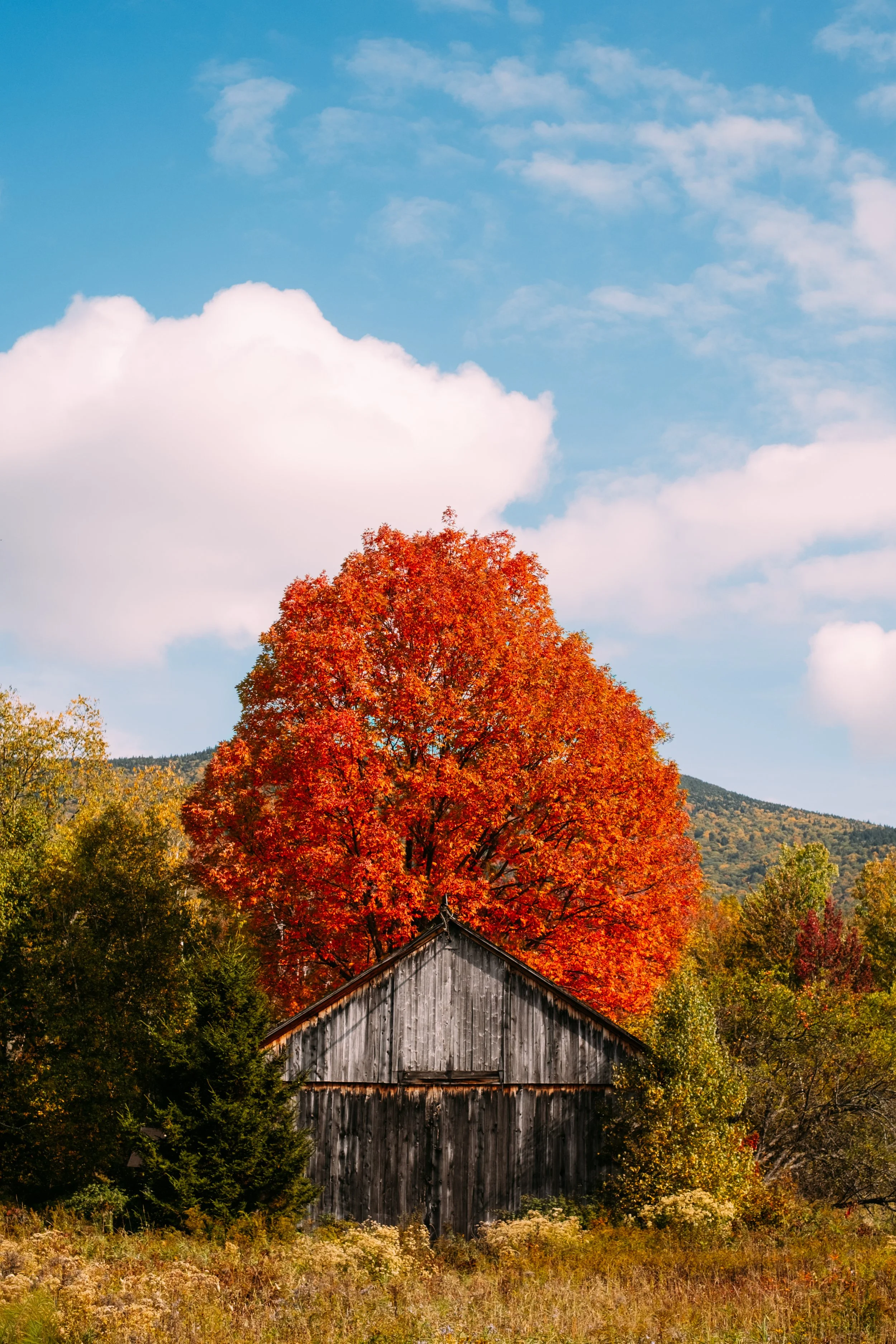 HighlandsRide_JeffersonvilleVT_PeteCurialle_4738.jpg