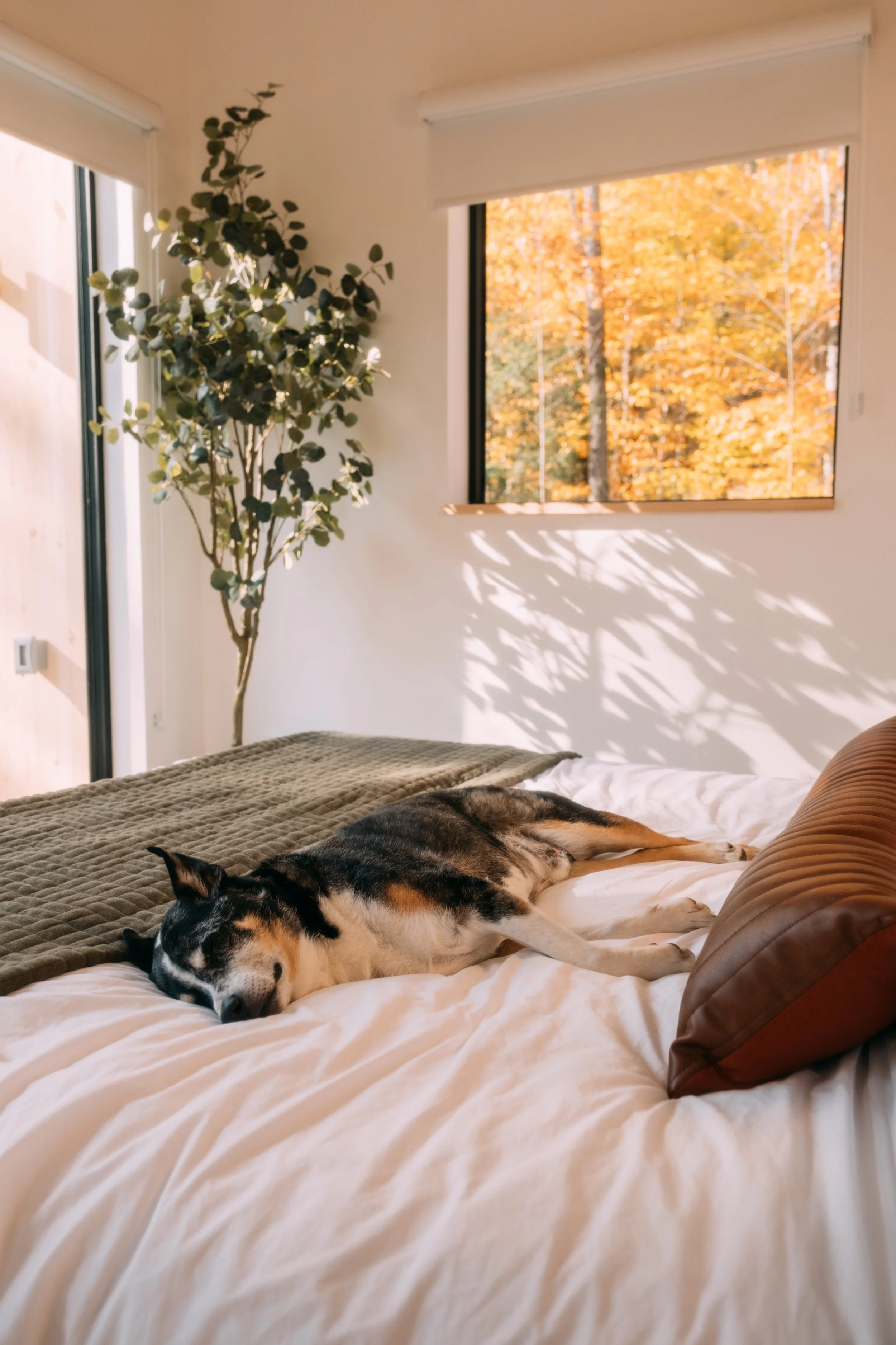 Bedrooms_HavartiHaus_ThorntonNH_PeteCurialle_2731.jpg