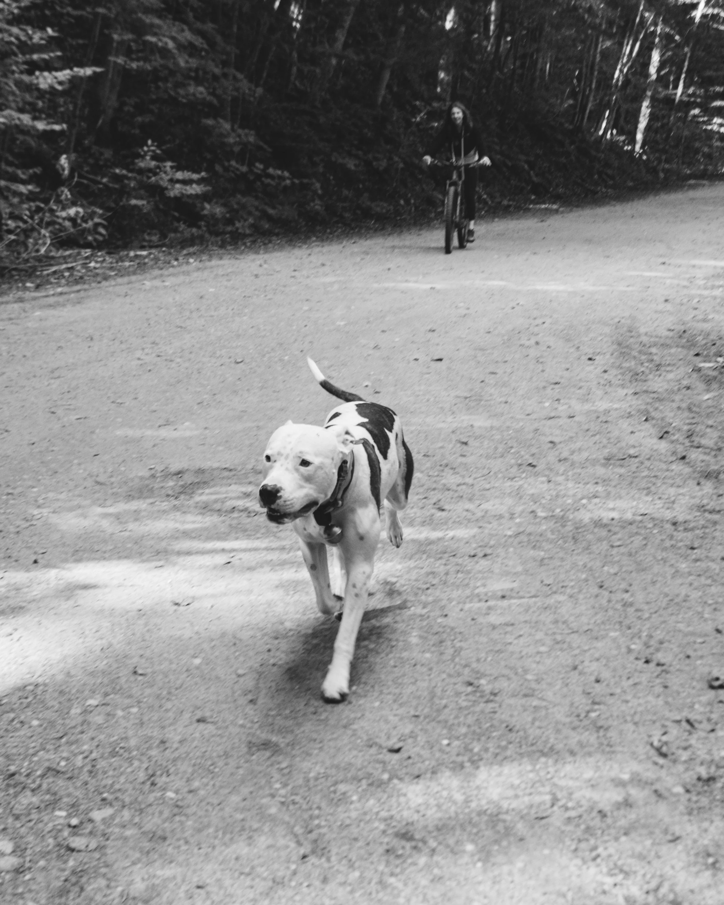 CottonBrookRide_WaterburyVT_PeteCurialle_1966.jpg