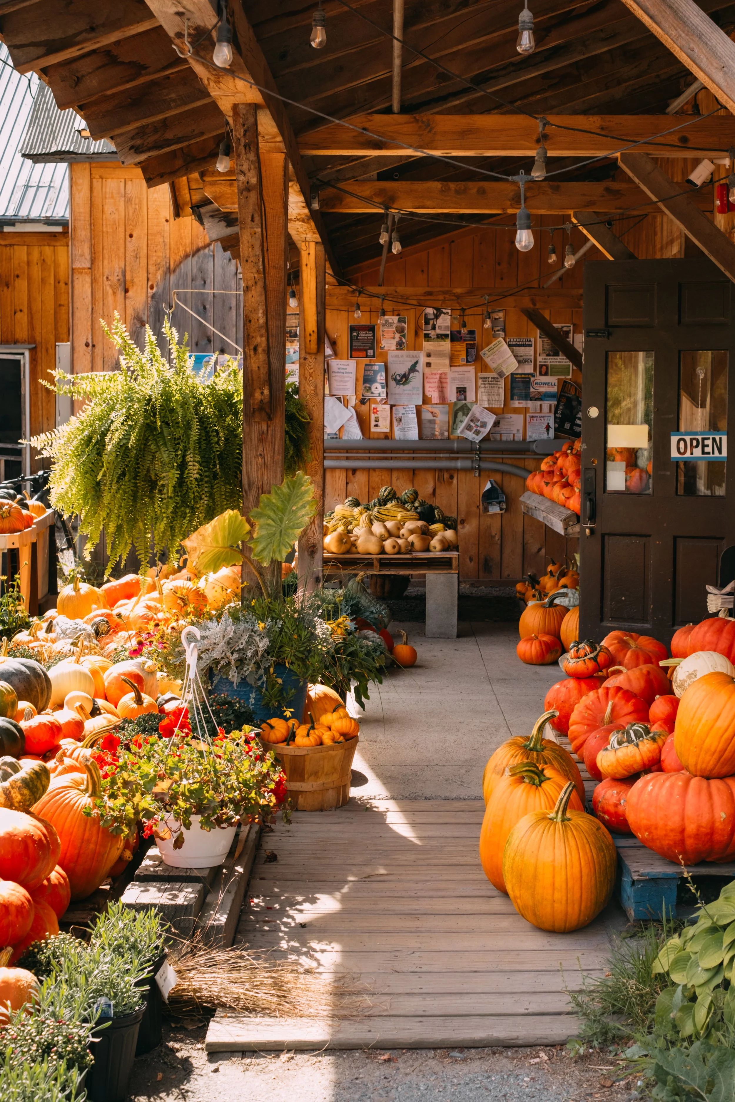 LoversLane_MoretownVT_PeteCurialle_4020.jpg