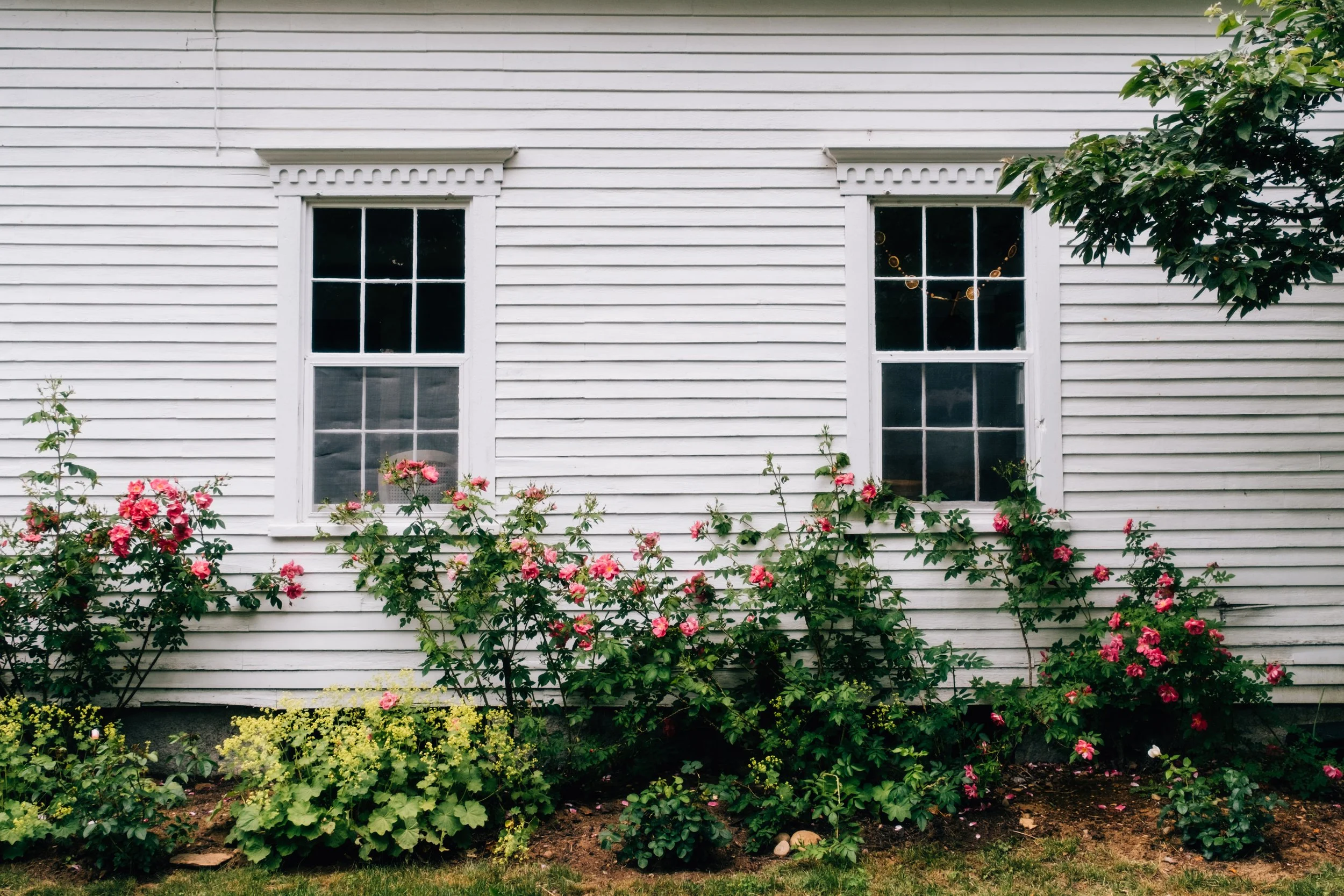 Exterior_ThreeSistersFarm_FriendshipME_PeteCurialle_7986.jpg