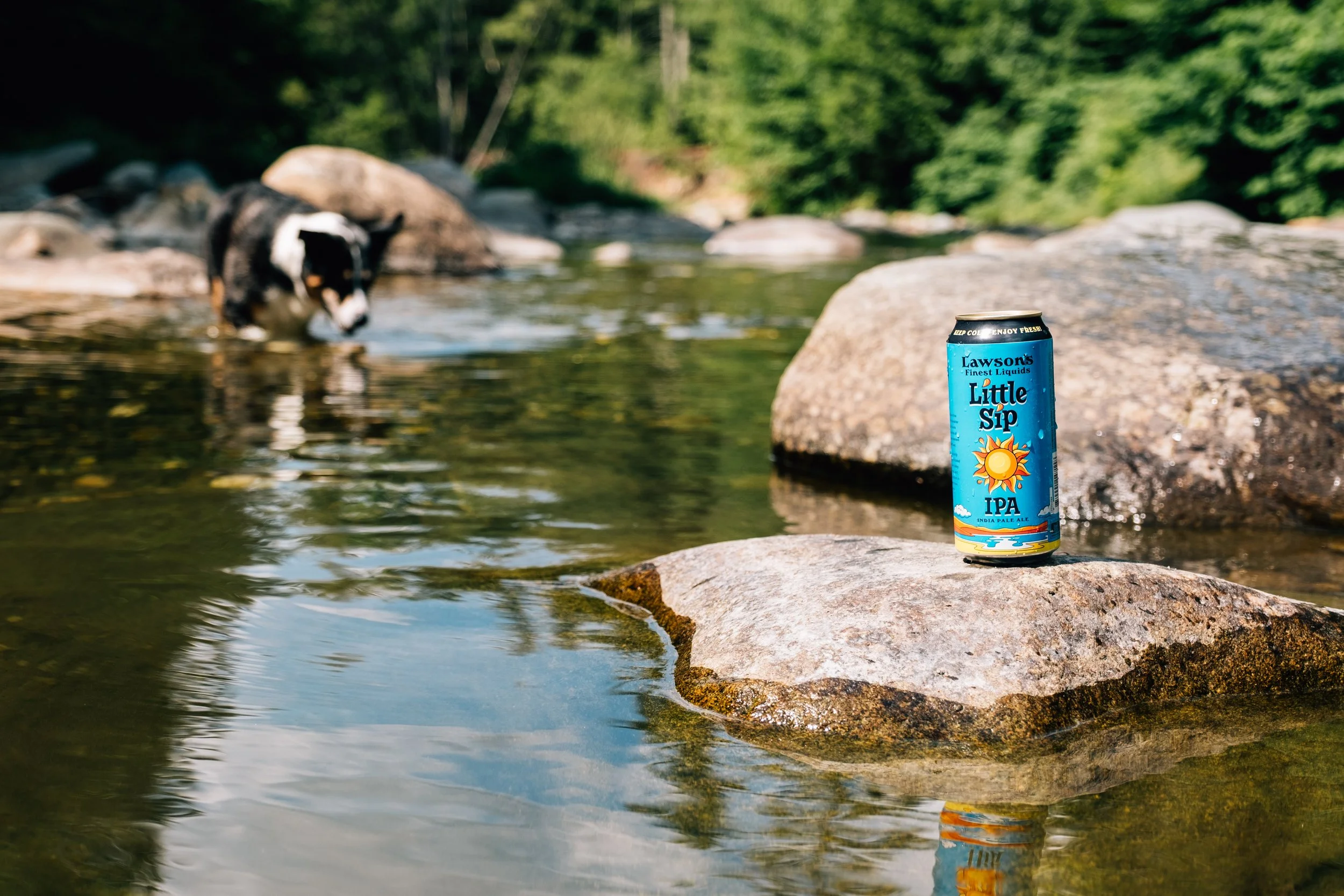 LawsonsLittleSip_BrewsterRiverVT_PeteCurialle_2238.jpg